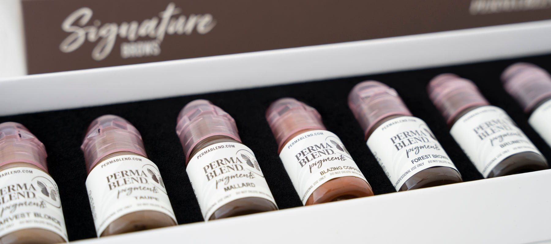 アートメイク色素　tina davies PERMA BLEND パーマブレンド Perma Blend Lip Pigments – Vibrant, Long-Lasting Colors for Lips
