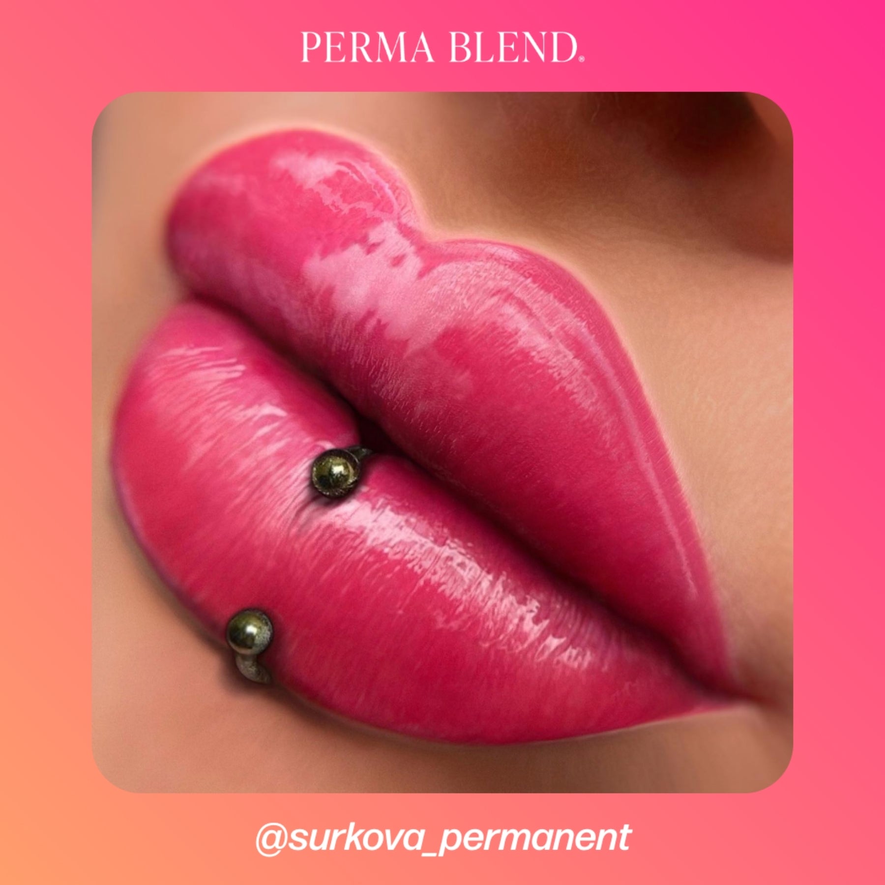 Perma Blend Lip Pigments