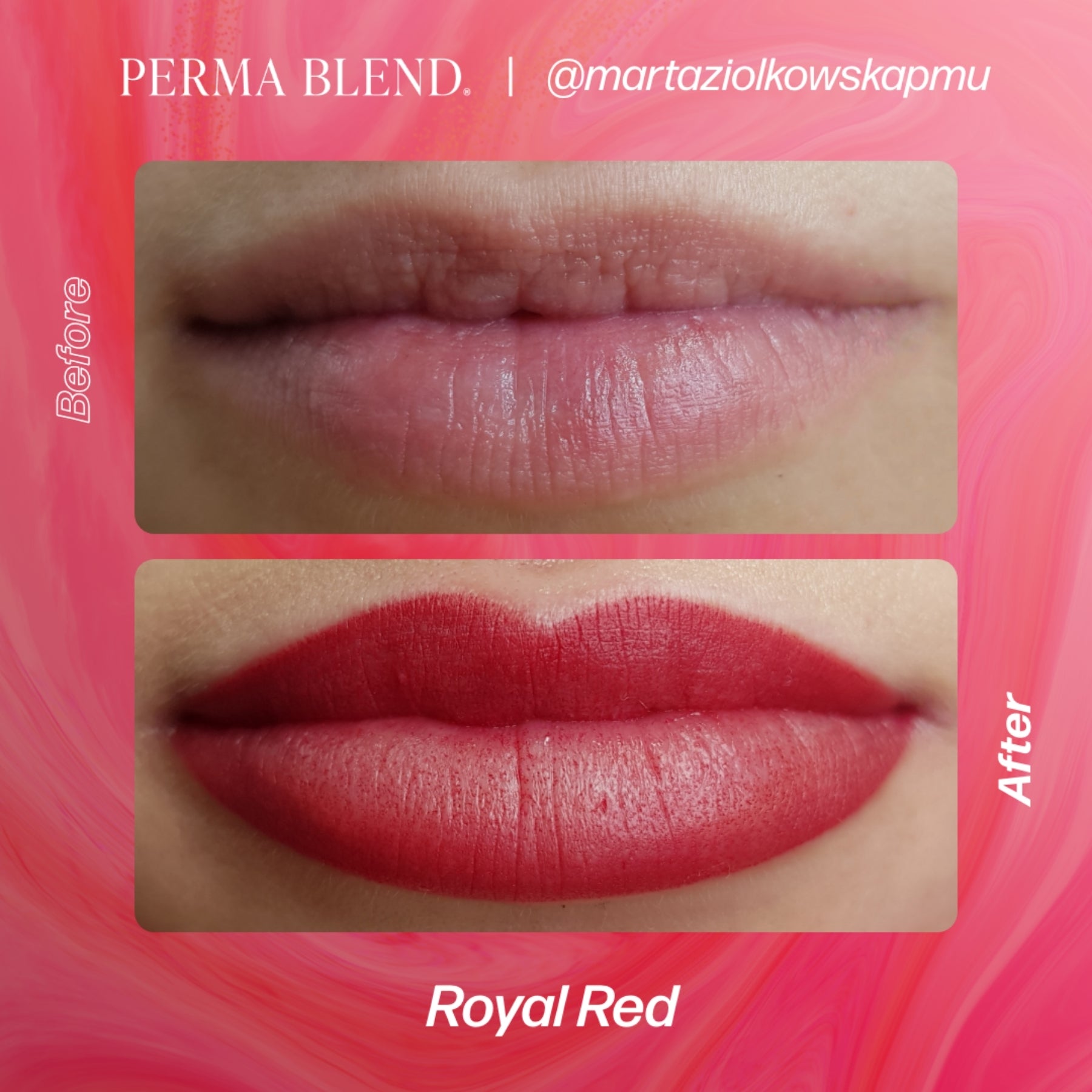 Perma Blend Lip Pigments