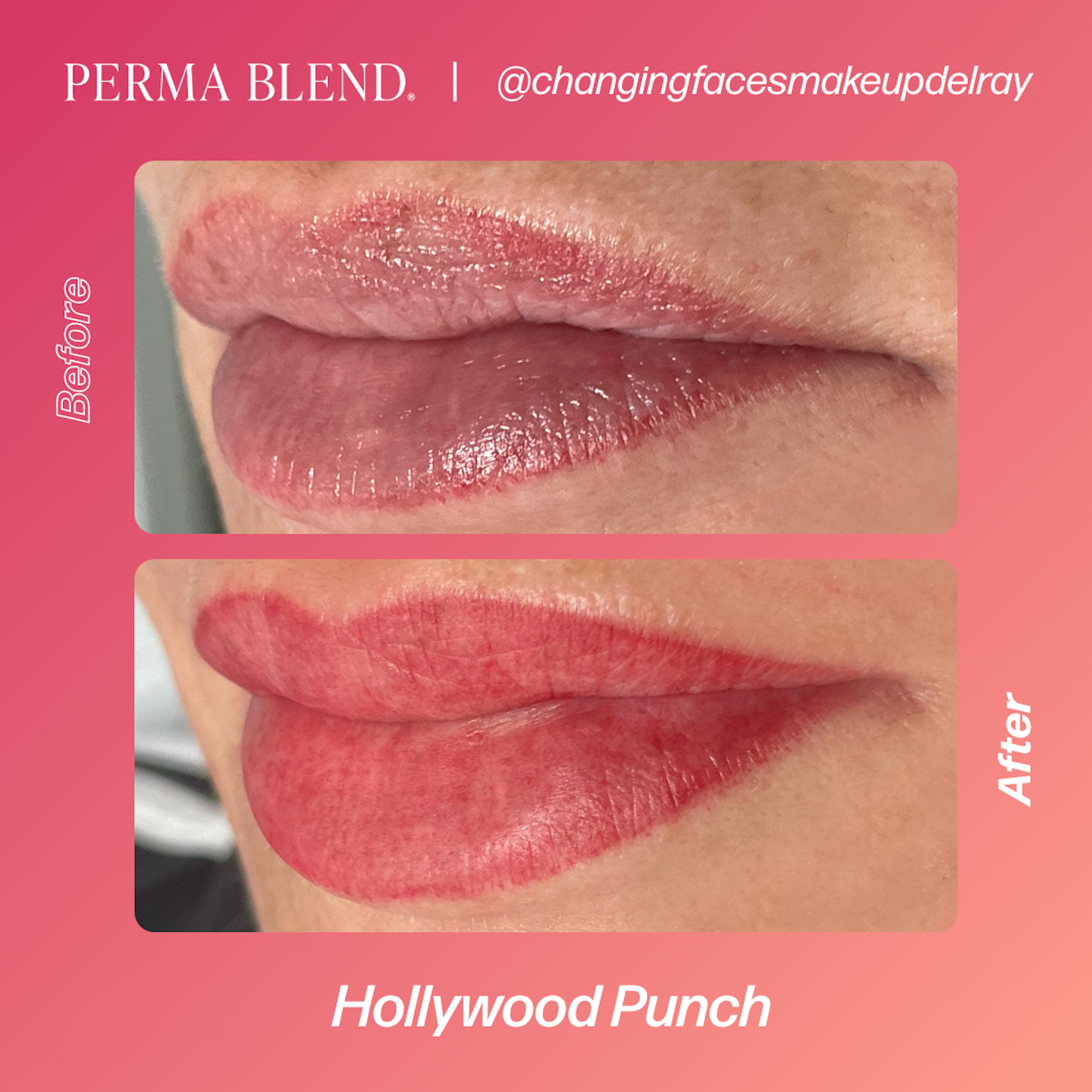 Perma Blend Lip Pigments