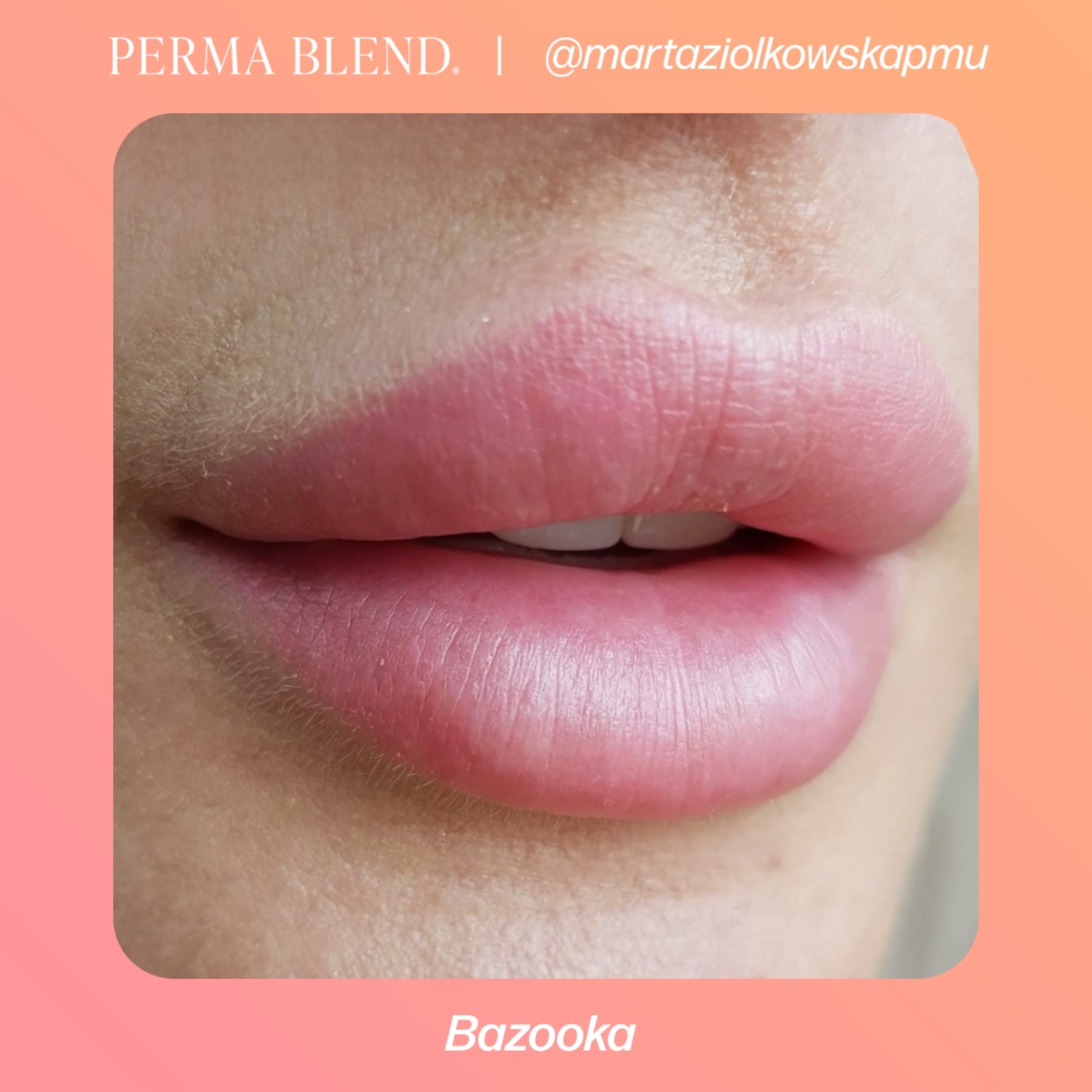 Perma Blend Lip Pigments