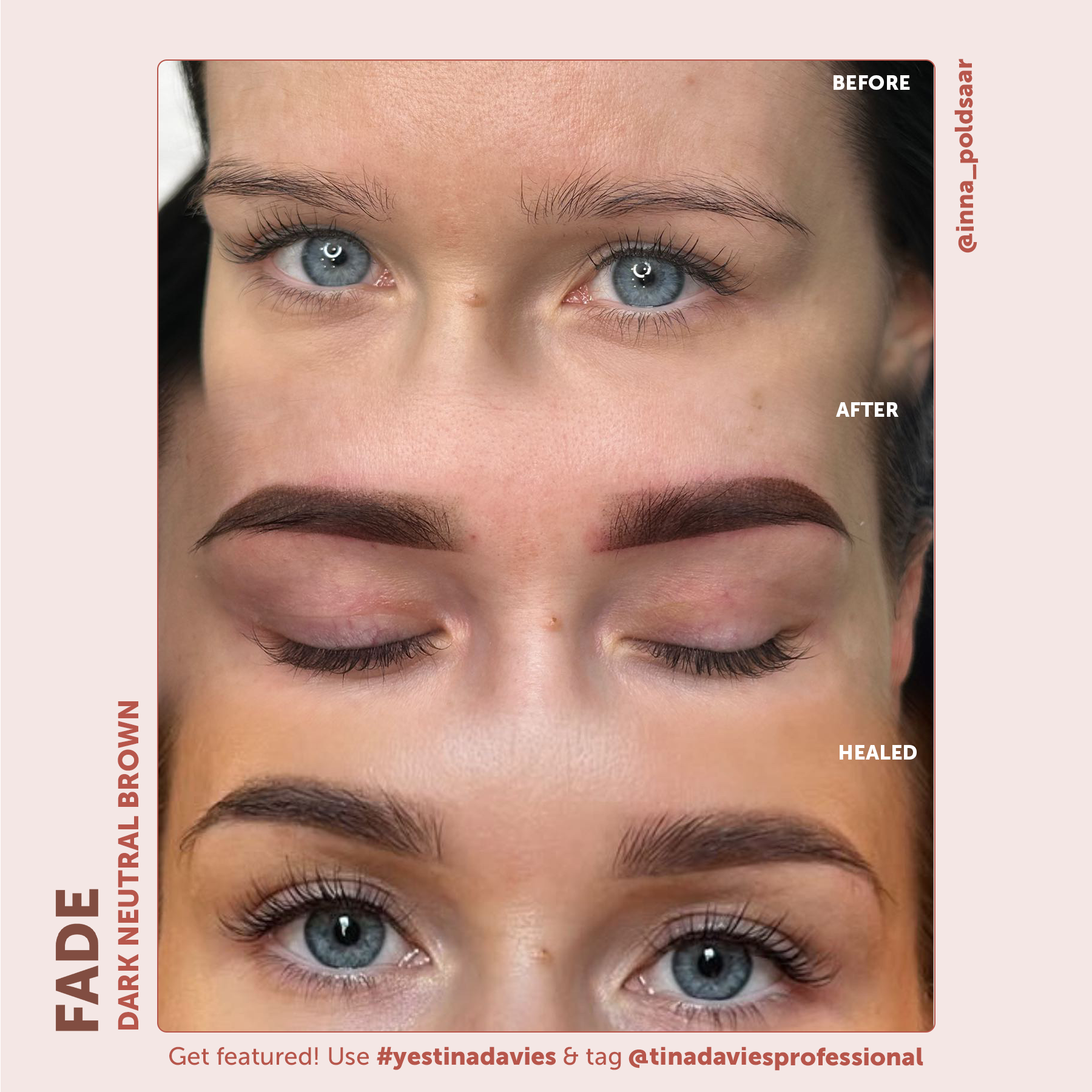 FADE Eyebrow Pigment Dark Neutral Brown - Inorganic-based, Hybrid Pigments For Permanent Makeup- Tina Davies Professional