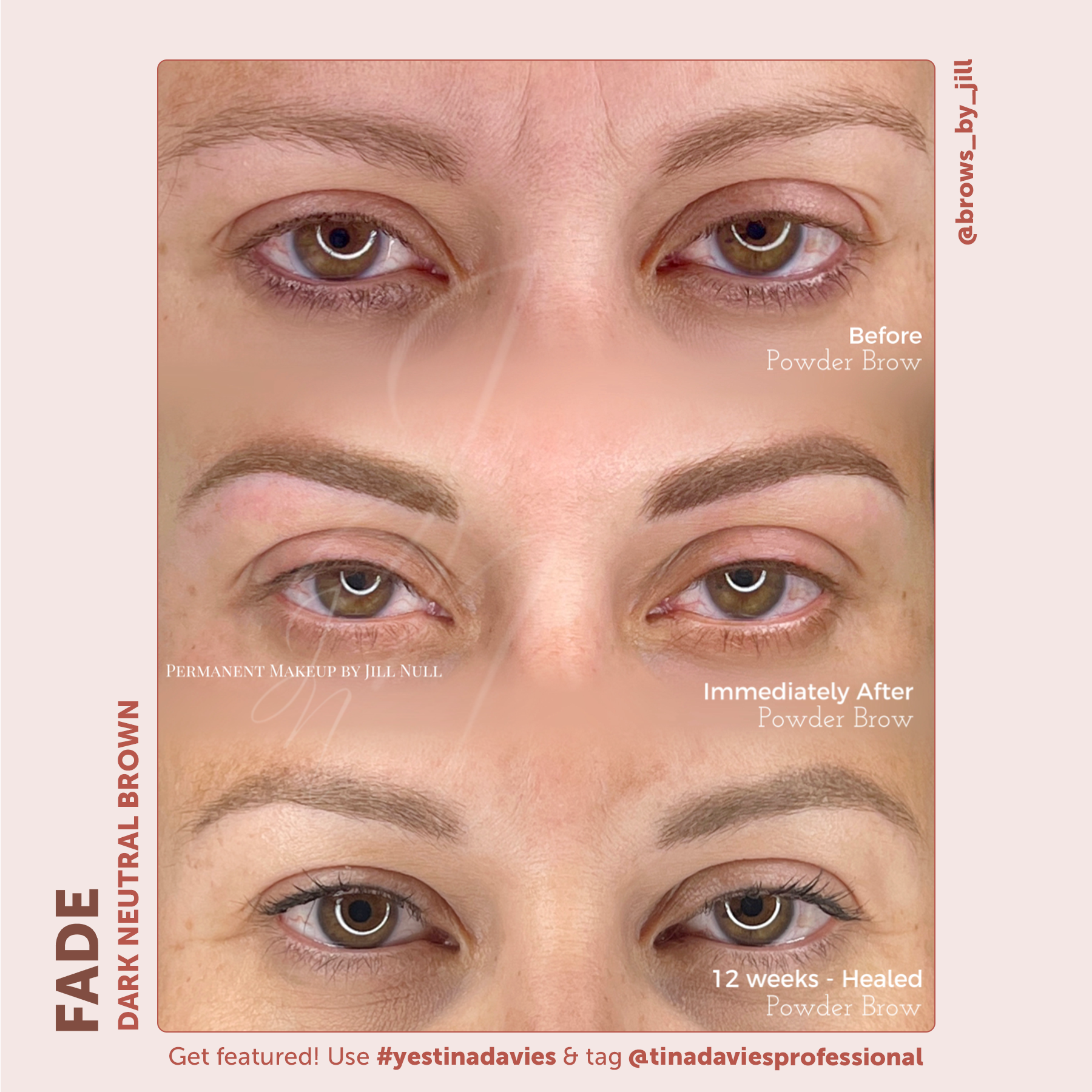 FADE Eyebrow Pigment Dark Neutral Brown - Inorganic-based, Hybrid Pigments For Permanent Makeup- Tina Davies Professional
