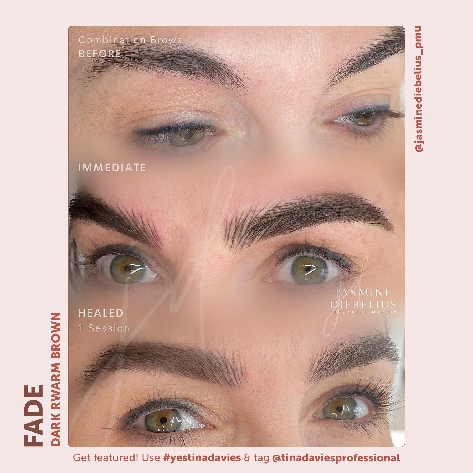 FADE Eyebrow Pigment Dark Warm Brown - Inorganic-based, Hybrid Pigments For Permanent Makeup- Tina Davies Professional