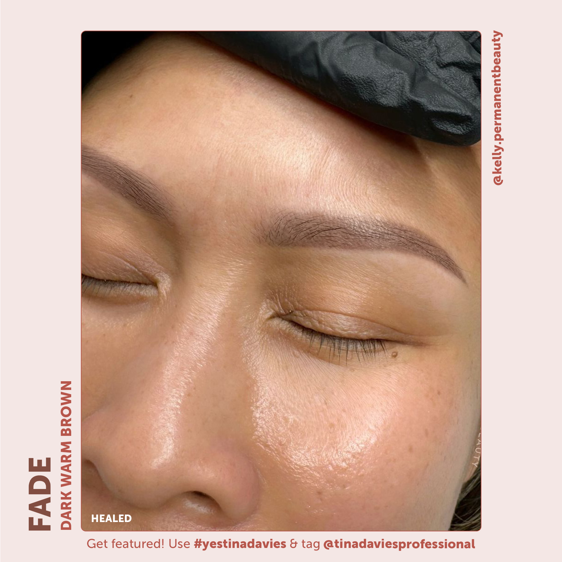 FADE Eyebrow Pigment Dark Warm Brown - Inorganic-based, Hybrid Pigments For Permanent Makeup- Tina Davies Professional