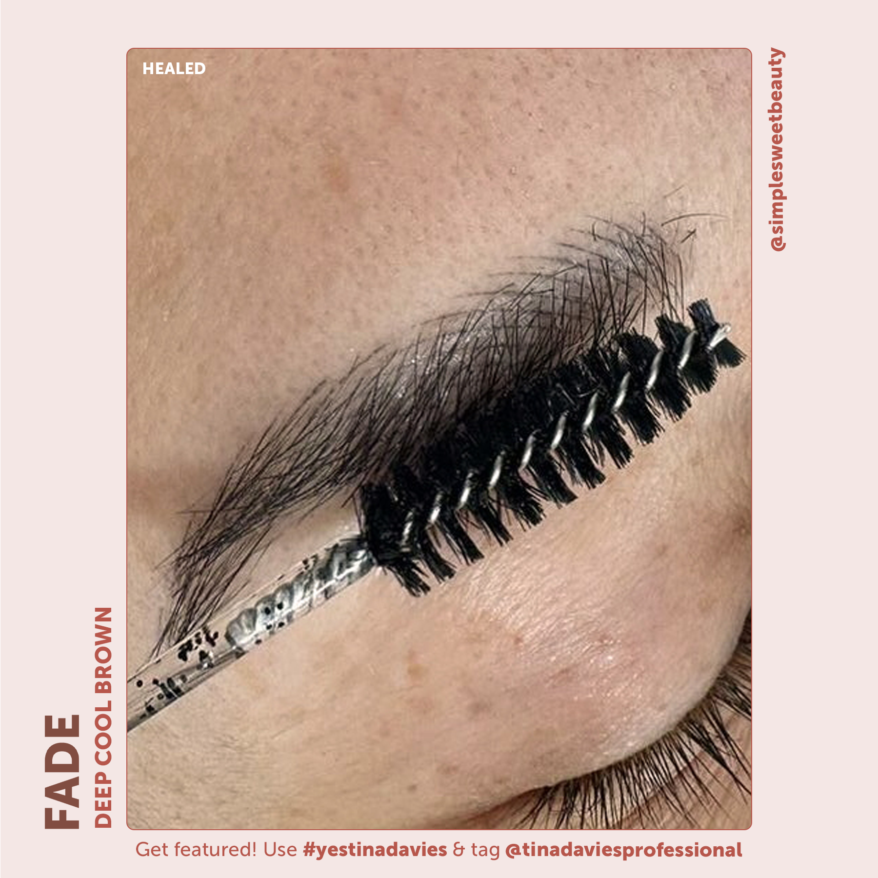 FADE Eyebrow Pigment Deep Cool Brown - Inorganic-based, Hybrid Pigments For Permanent Makeup- Tina Davies Professional