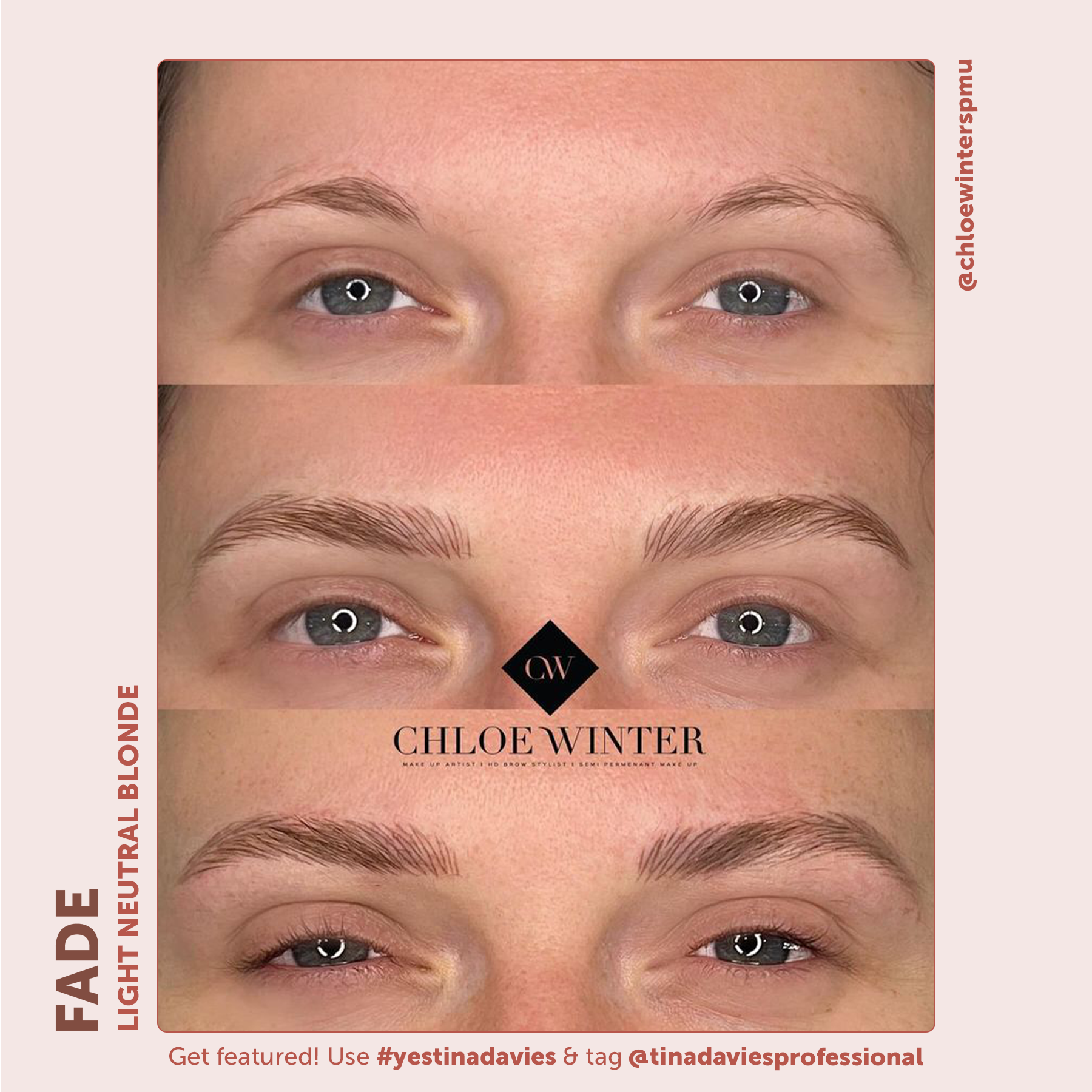 FADE Eyebrow Pigment Light Neutral Blonde - Inorganic-based, Hybrid Pigments For Permanent Makeup- Tina Davies Professional