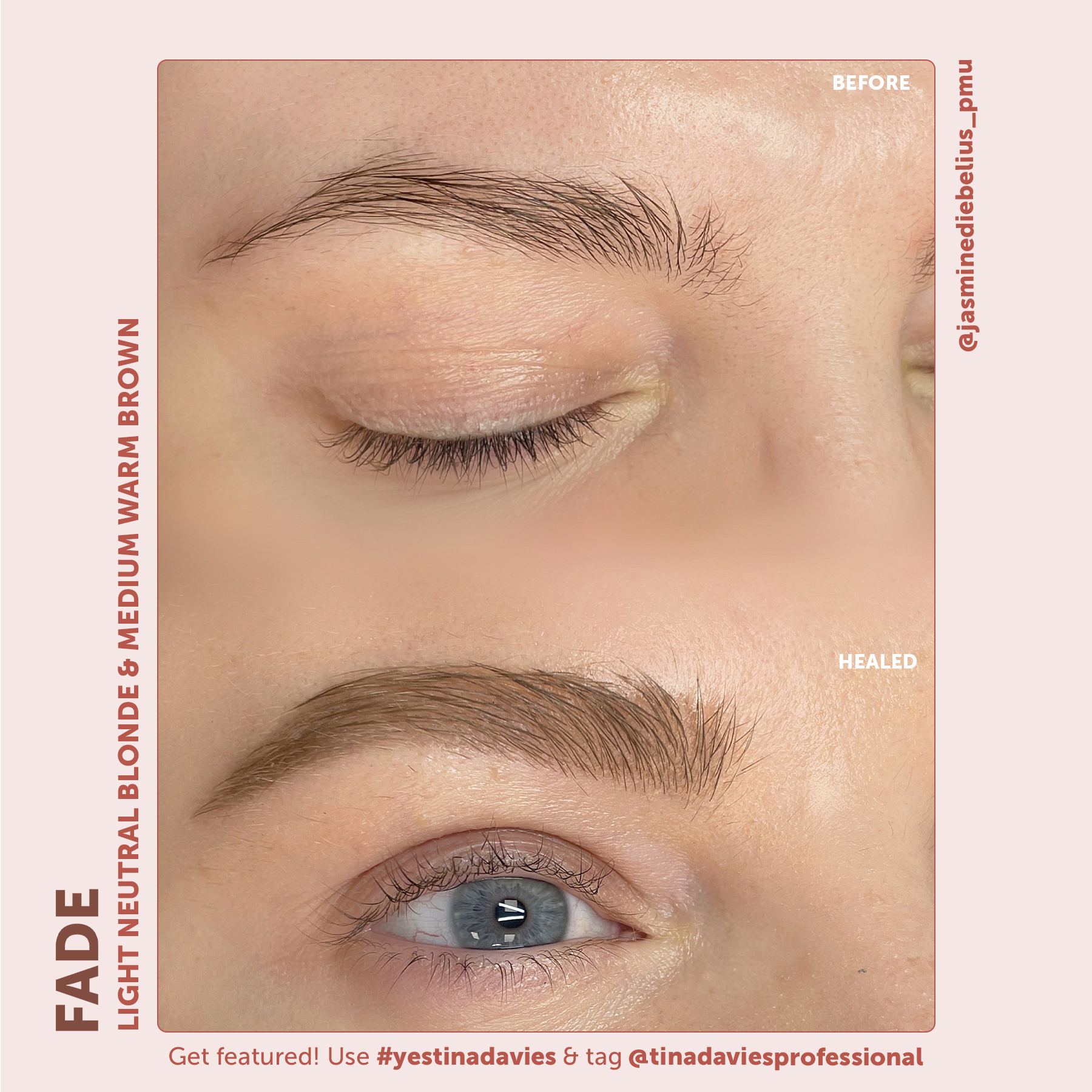 FADE Eyebrow Pigment Light Neutral Blonde - Inorganic-based, Hybrid Pigments For Permanent Makeup- Tina Davies Professional