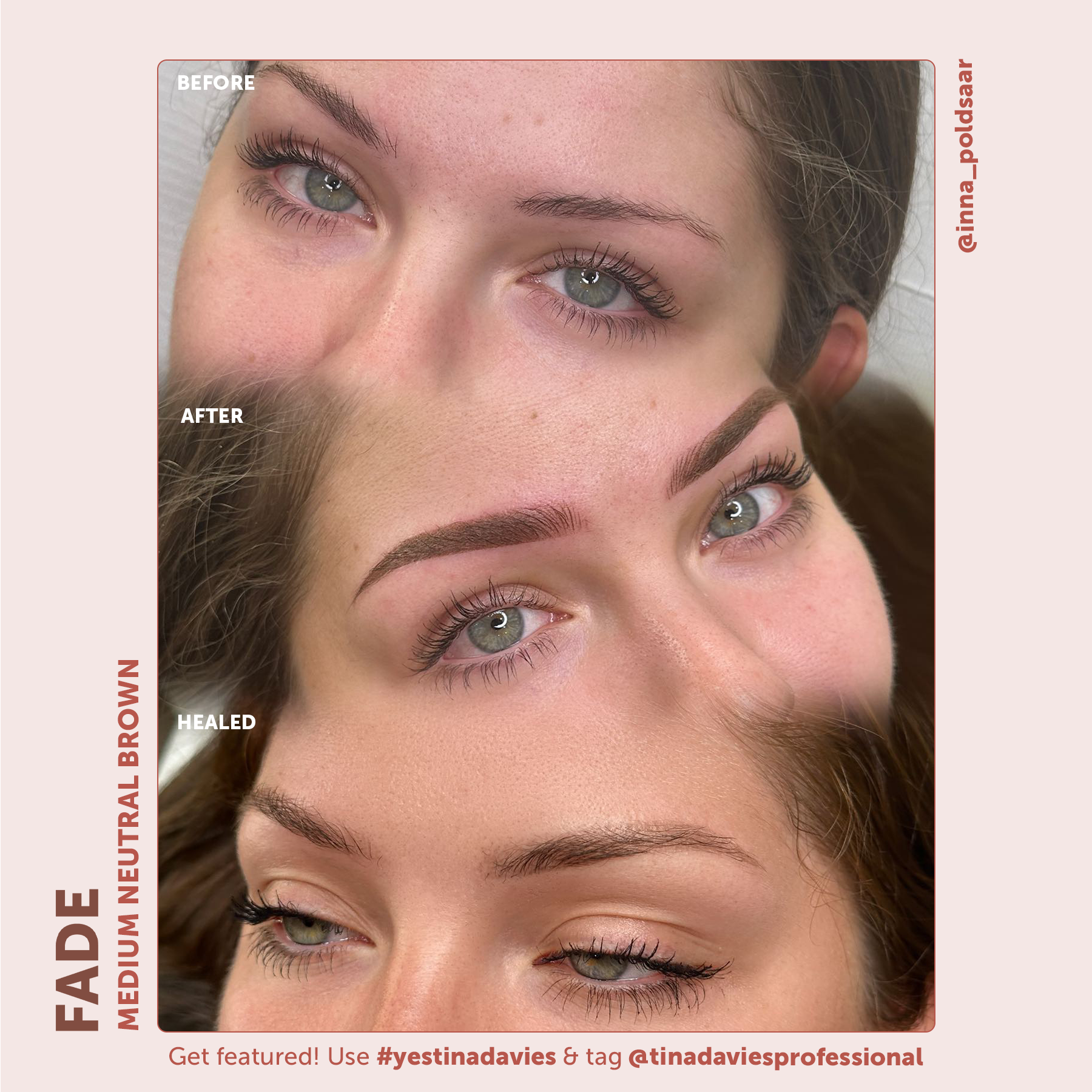 FADE Eyebrow Pigment Medium Neutral Brown - Inorganic-based, Hybrid Pigments For Permanent Makeup- Tina Davies Professional