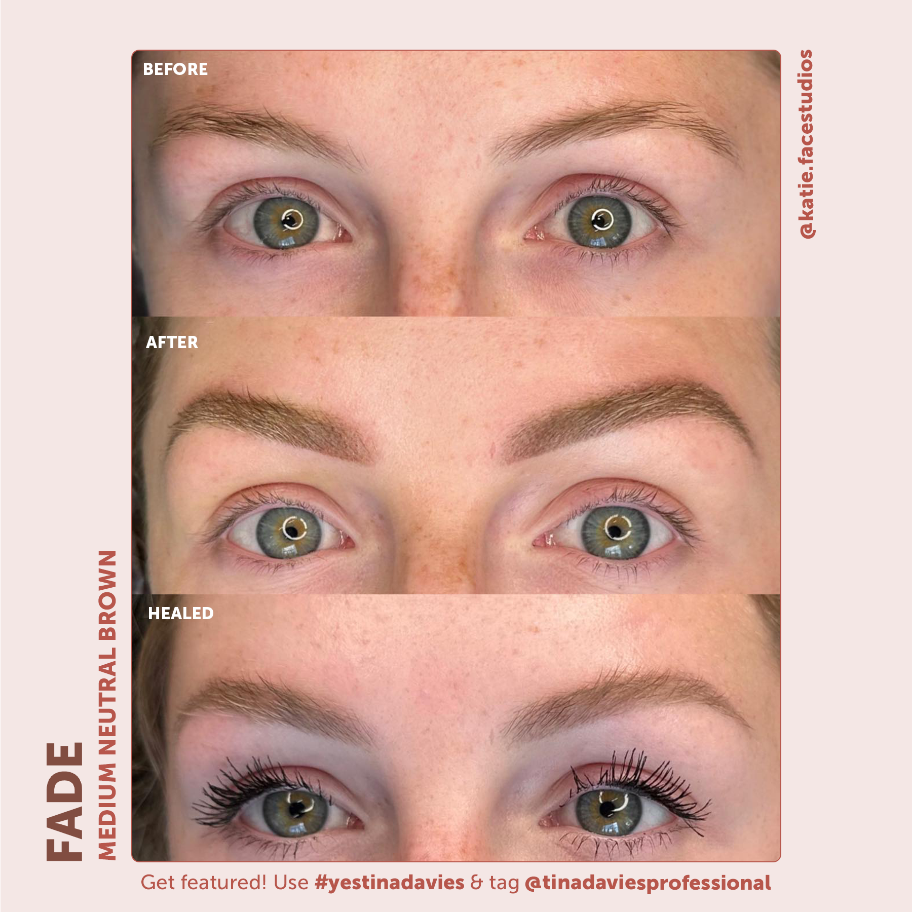 FADE Eyebrow Pigment Dark Warm Brown - Inorganic-based, Hybrid Pigments For Permanent Makeup- Tina Davies Professional