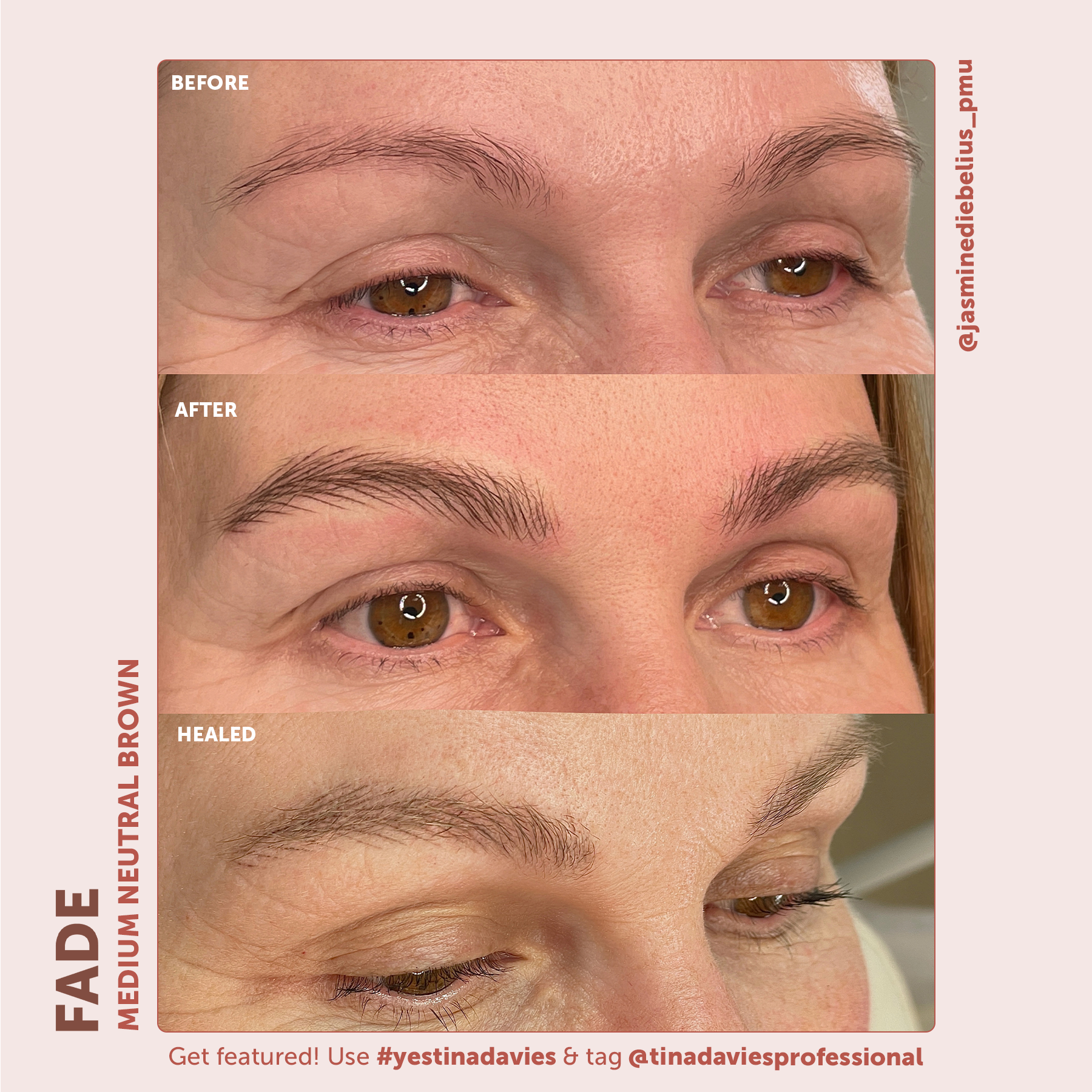 FADE Eyebrow Pigment Medium Neutral Brown - Inorganic-based, Hybrid Pigments For Permanent Makeup- Tina Davies Professional