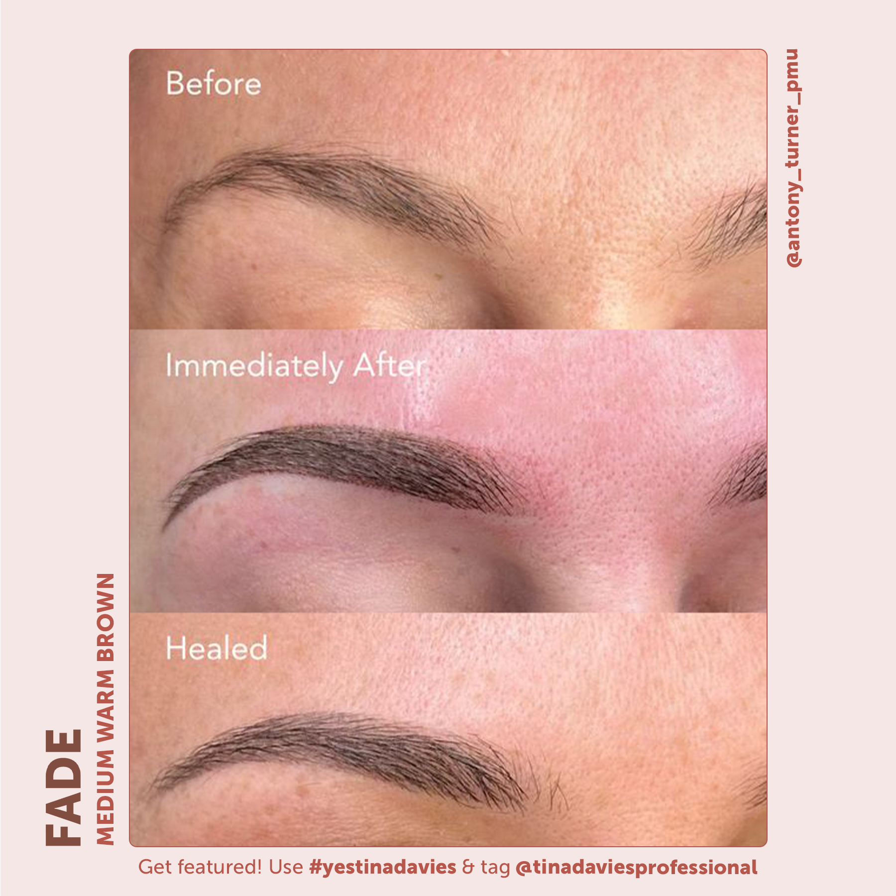 FADE Eyebrow Pigment Medium Warm Brown - Inorganic-based, Hybrid Pigments For Permanent Makeup- Tina Davies Professional
