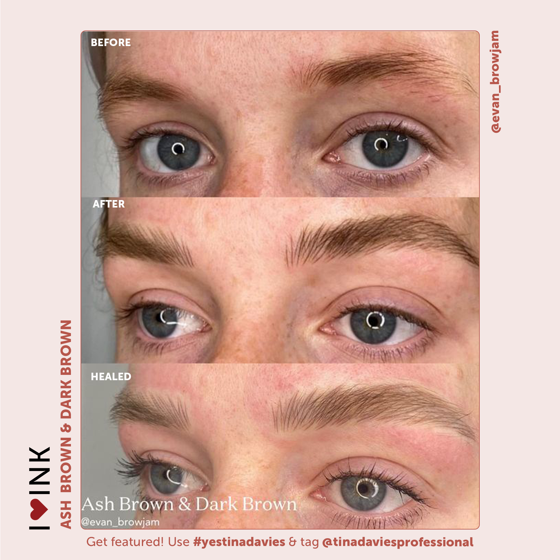 Tina Davies x Perma Blend I ❤️ INK Eyebrow Pigments Ash Brown - Organic-based, Hybrid Eyebrow Permanent Makeup Pigments