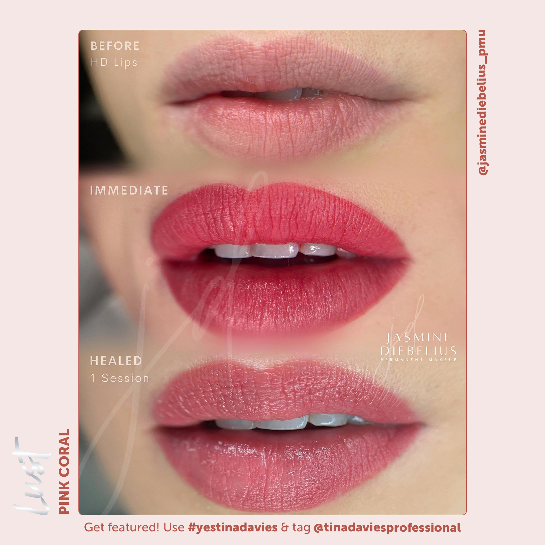 Tina Davies x Perma Blend Lust Lip Pigments - Lust Pink Coral Healed Result Lip Blushing Permanent Makeup Pigments