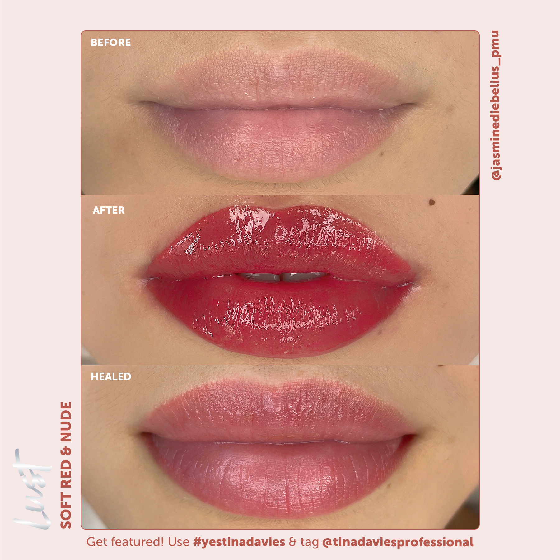 Tina Davies x Perma Blend Lust Lip Pigments - Lust Soft Red Healed Result Lip Blushing Permanent Makeup Pigments