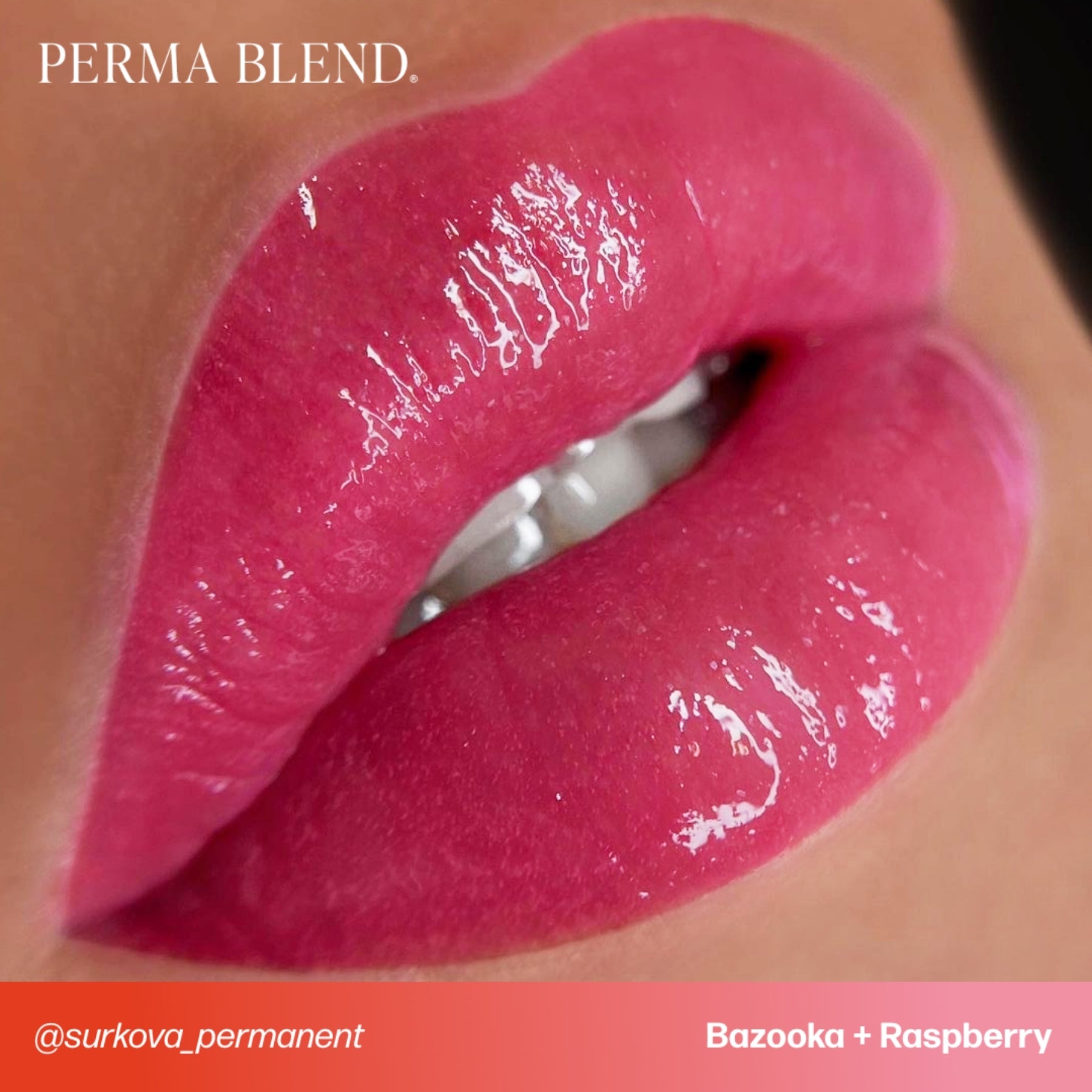 Perma Blend Lip Pigments