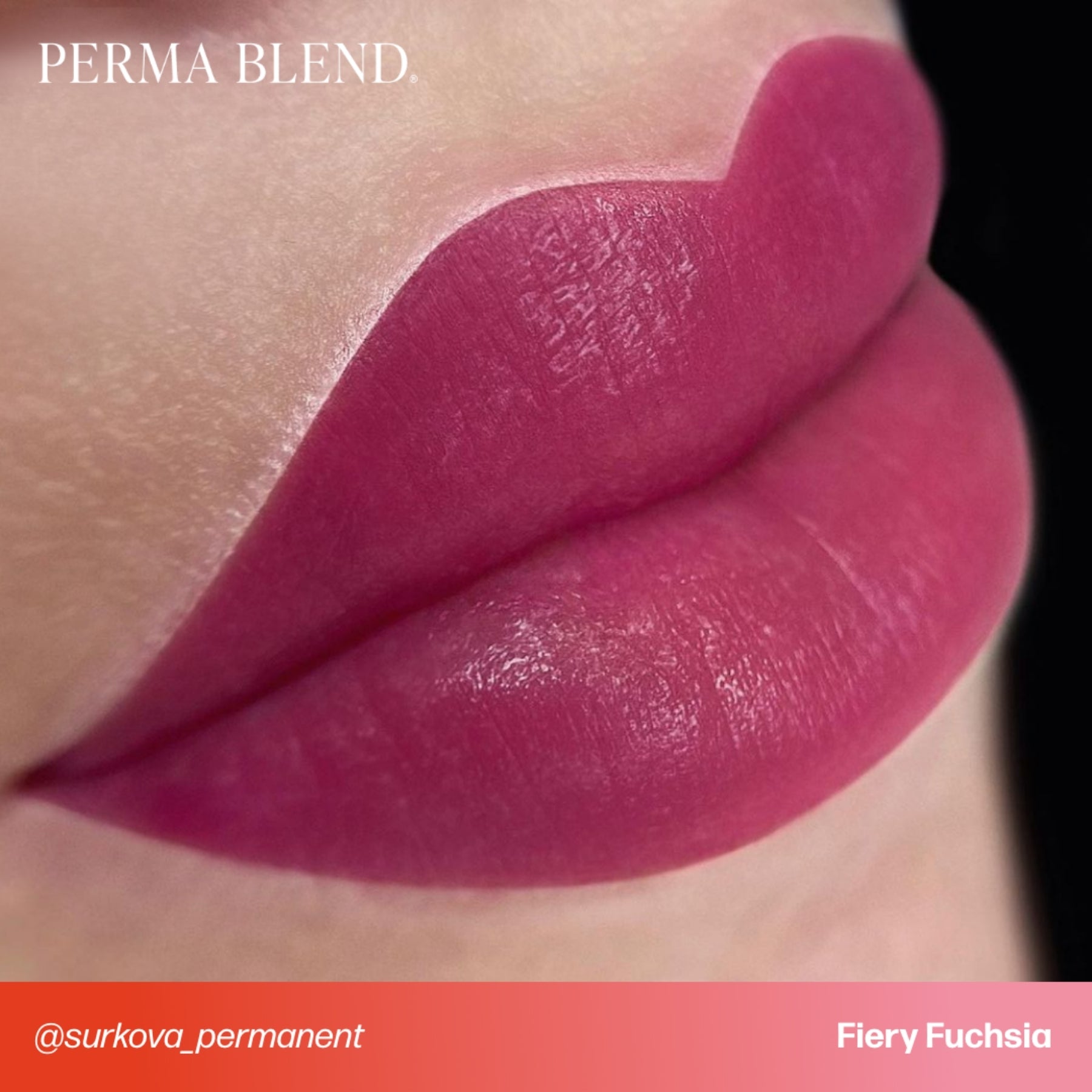 Perma Blend Lip Pigments