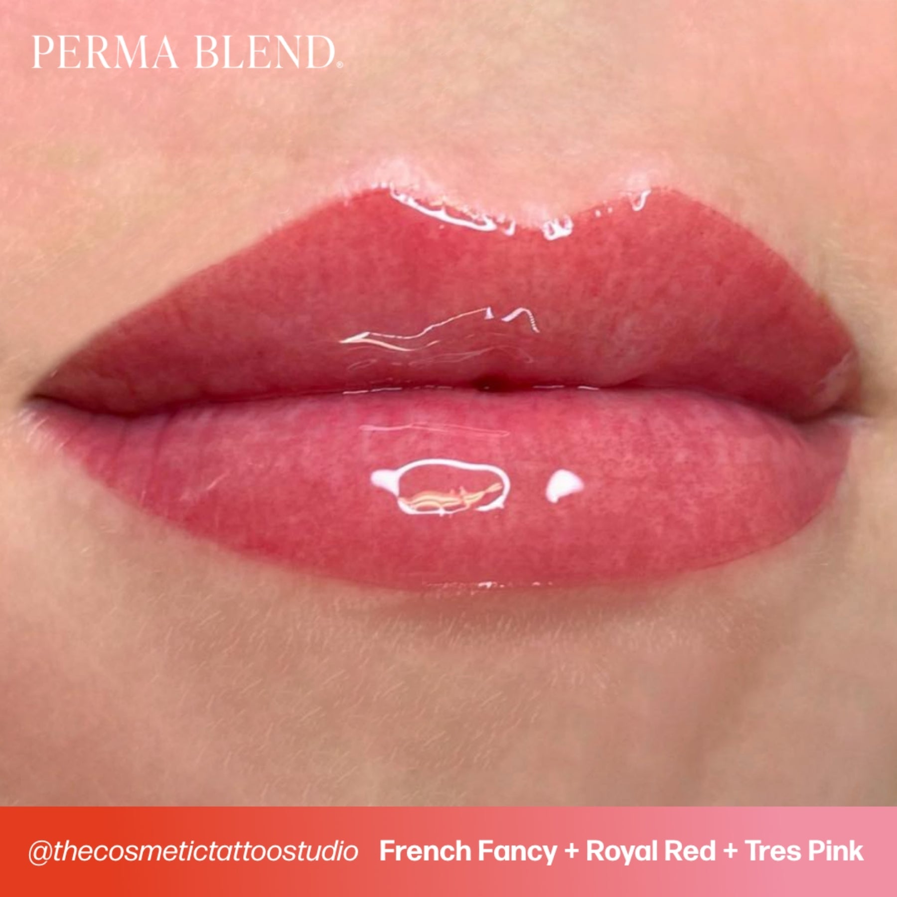 Perma Blend Lip Pigments