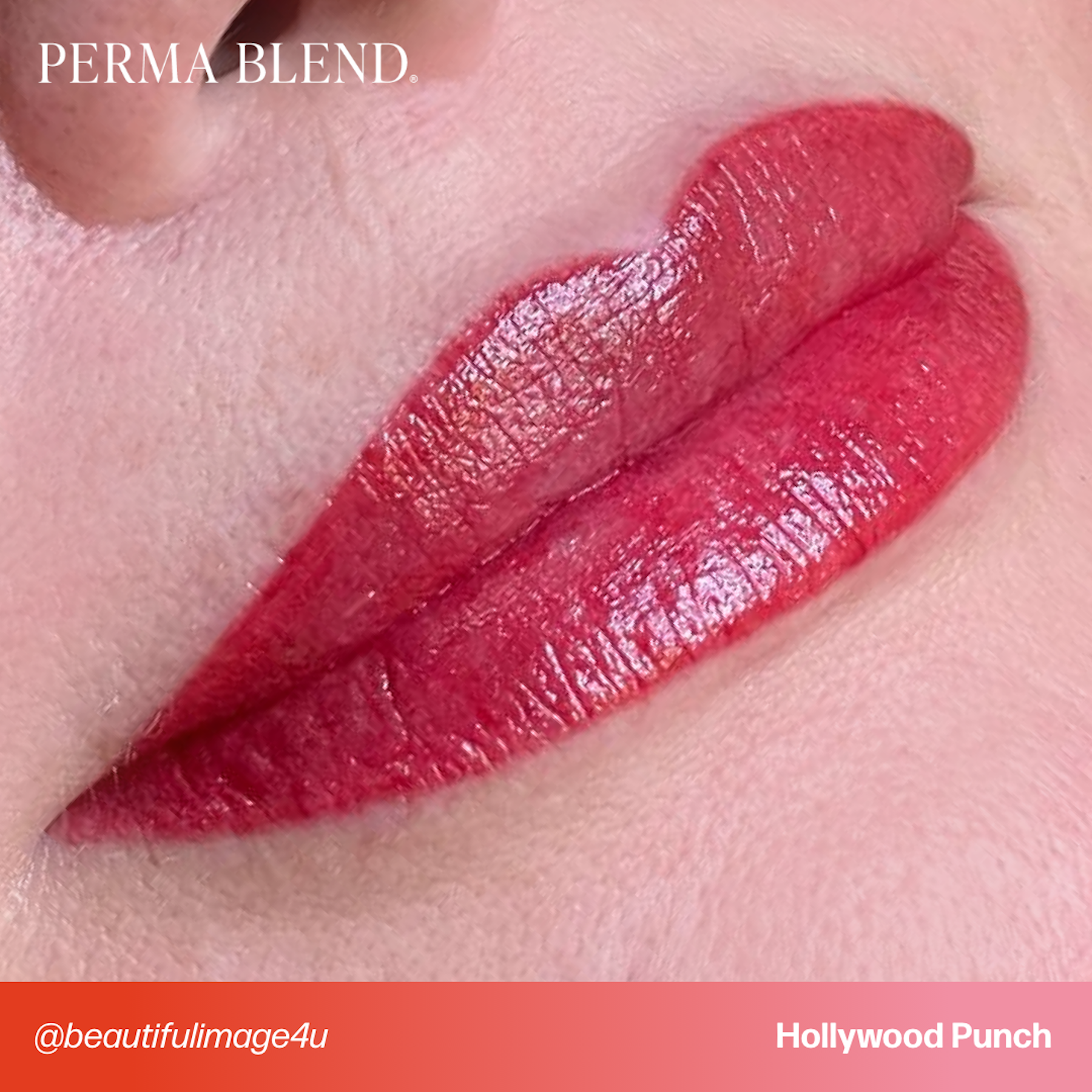 Perma Blend Lip Pigments