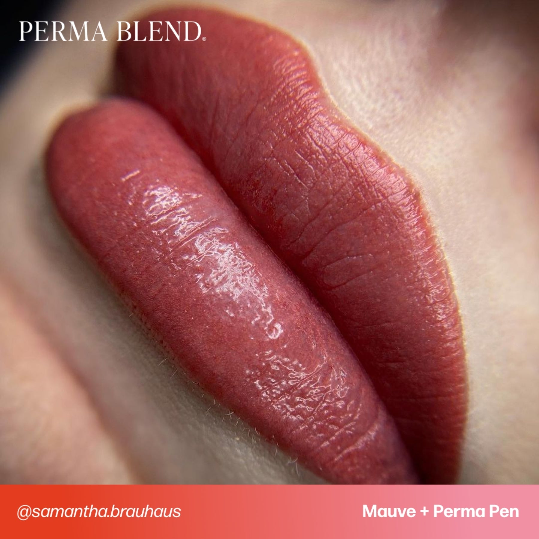 Perma Blend Lip Pigments