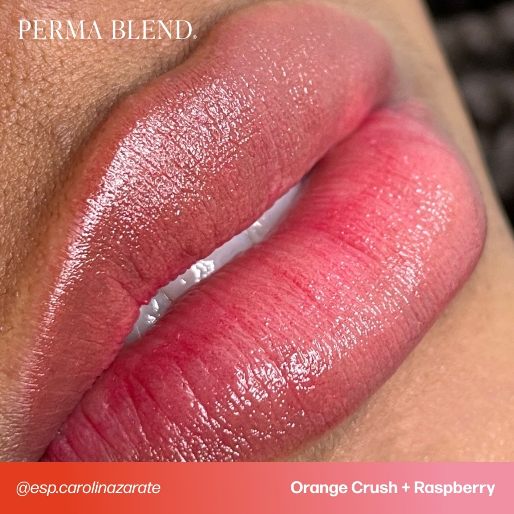 Perma Blend Lip Pigments