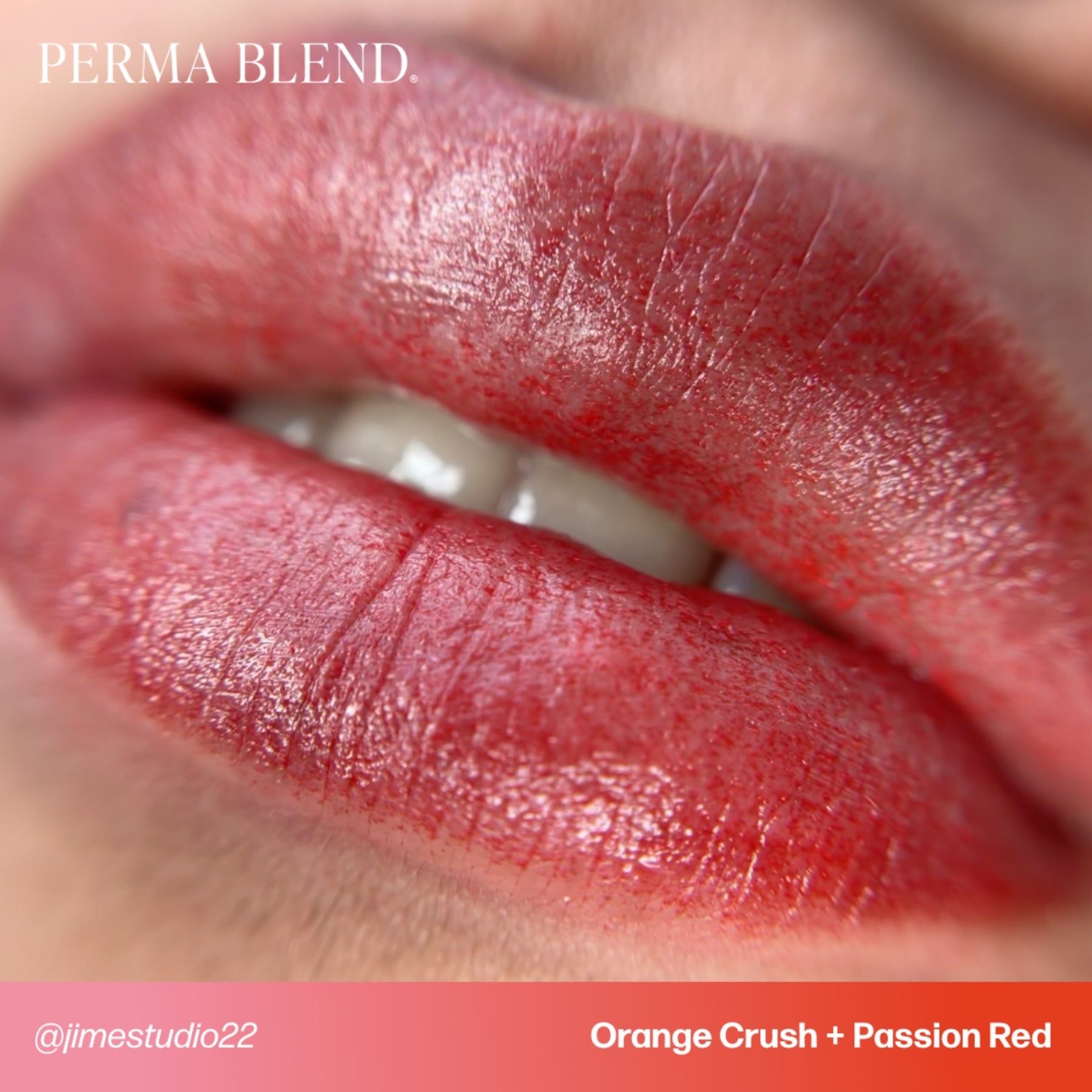 Perma Blend Lip Pigments