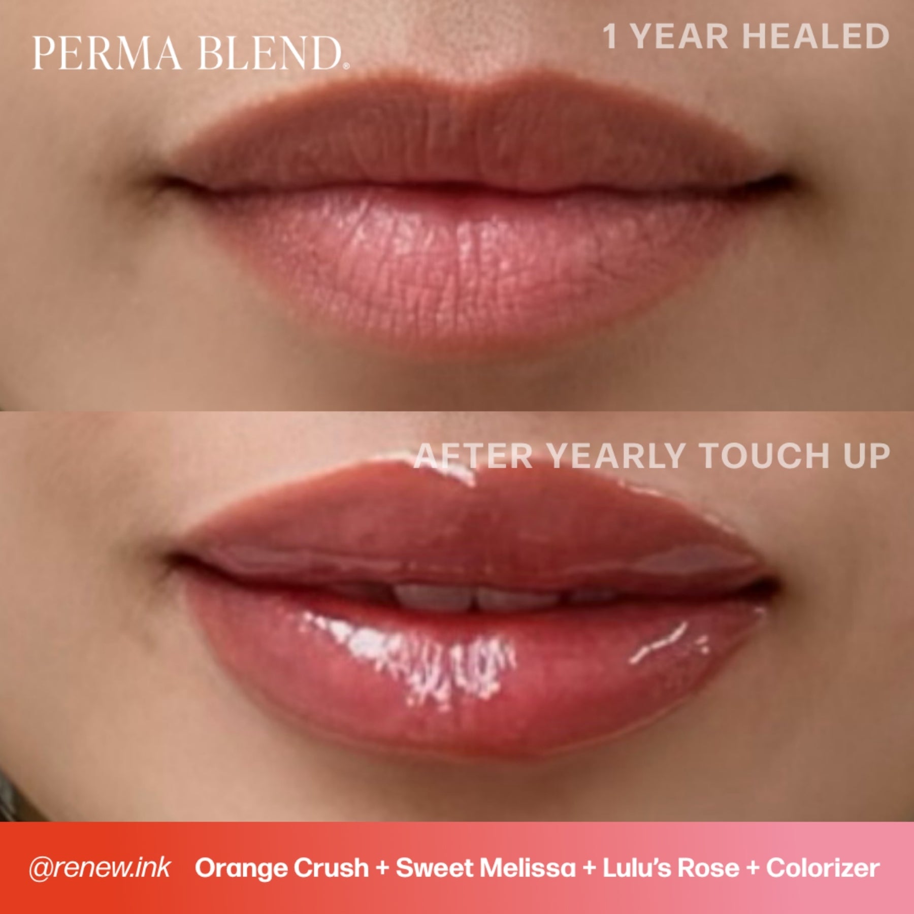 Perma Blend Lip Pigments