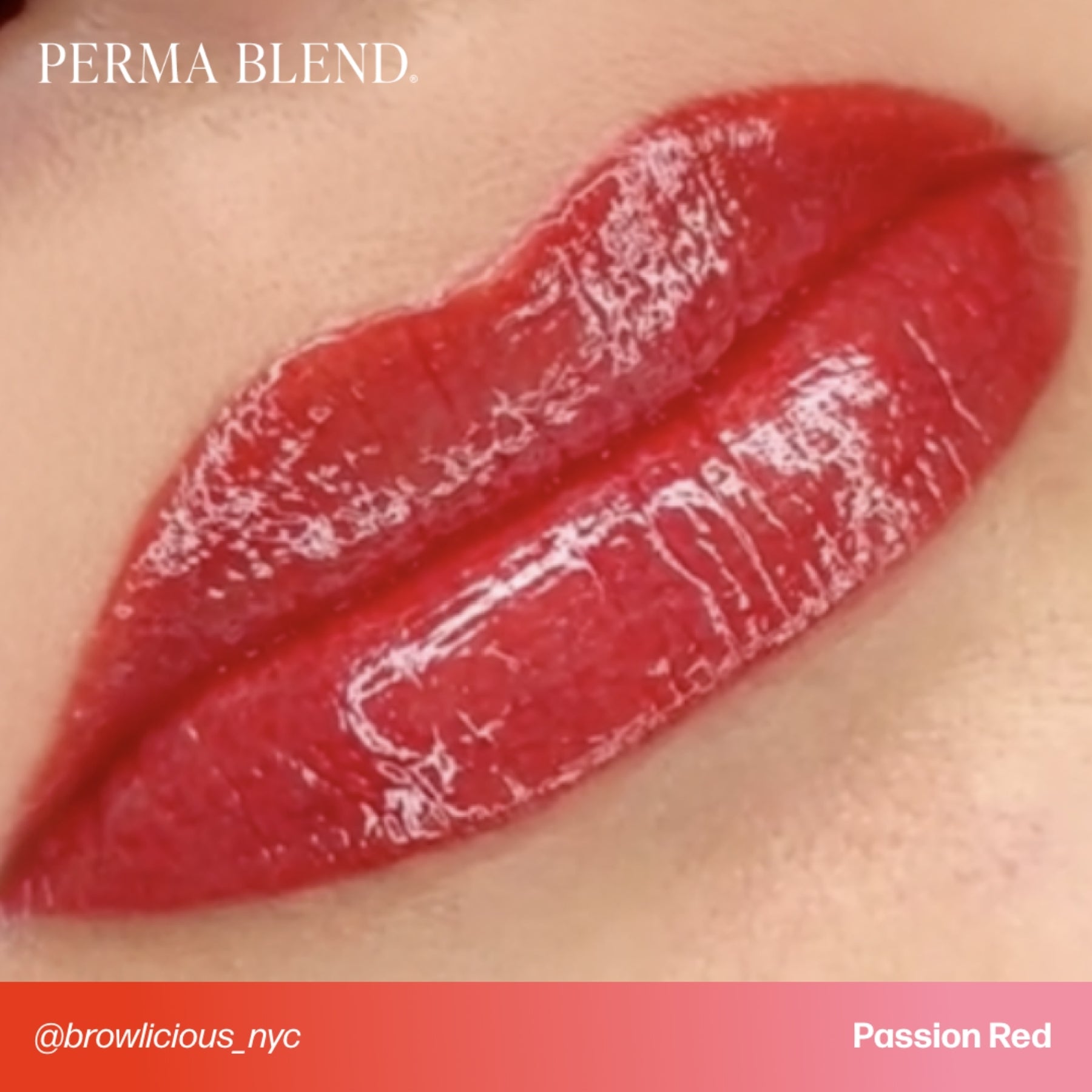 Perma Blend Lip Pigments