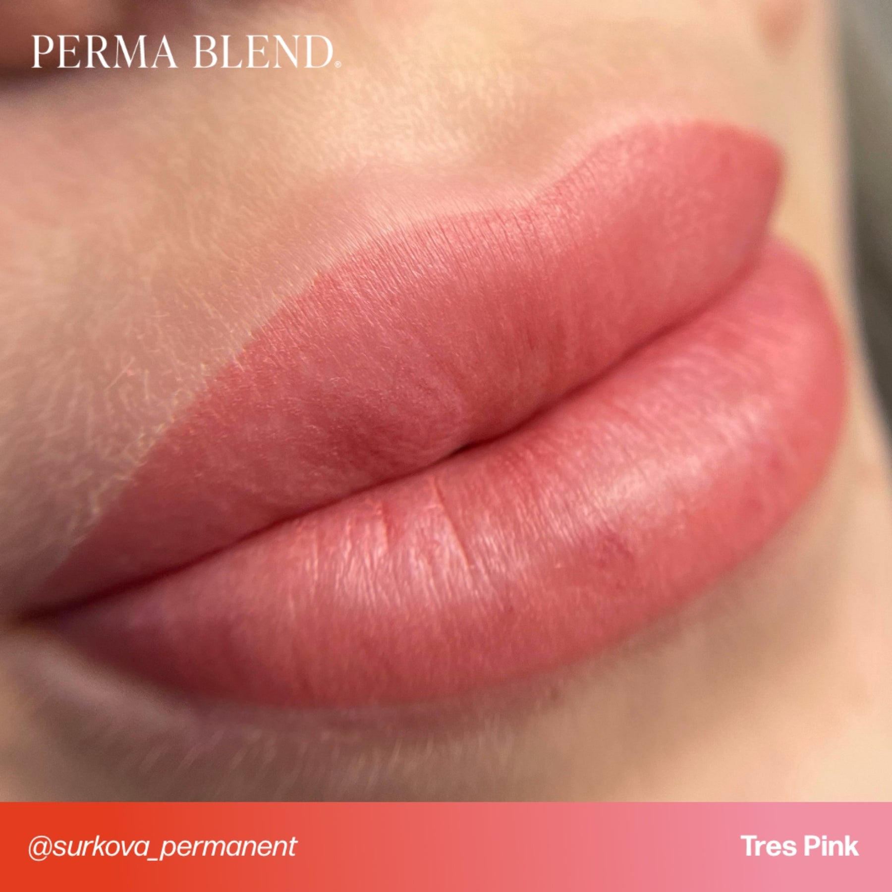 Perma Blend Lip Pigments