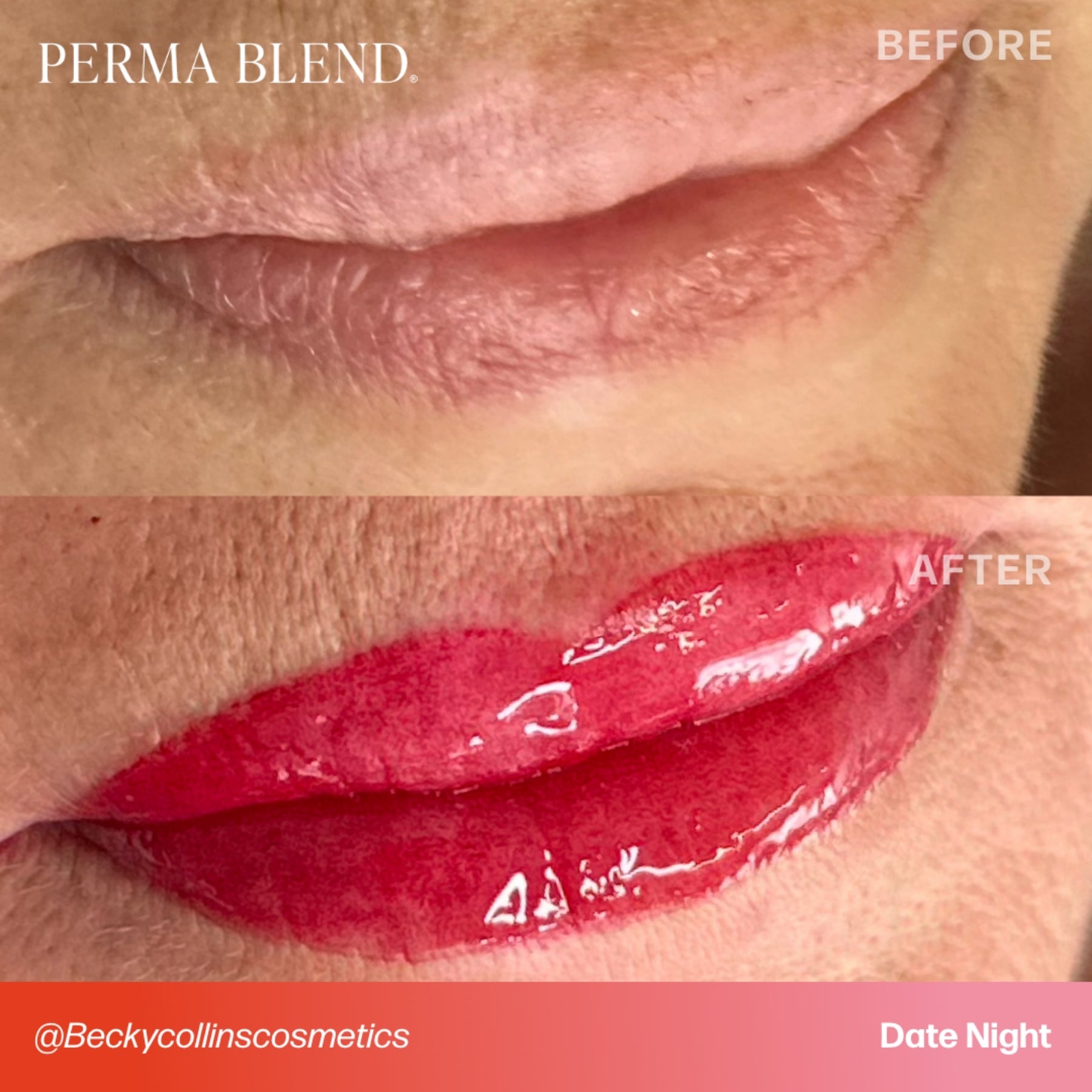 Perma Blend Lip Pigments