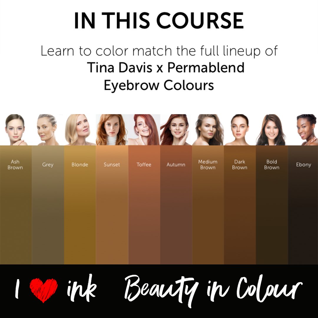 Beauty In Color I ❤️ INK Online Course - I ❤️ INK & Sunset Brow Collection Color - The Collective by Tina Davies