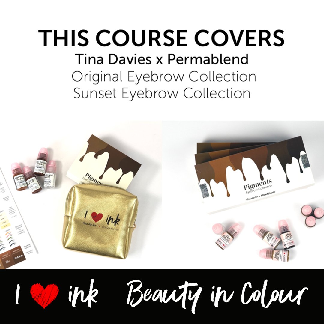 Beauty In Color I ❤️ INK Online Course - I ❤️ INK & Sunset Brow Collection Color - The Collective by Tina Davies