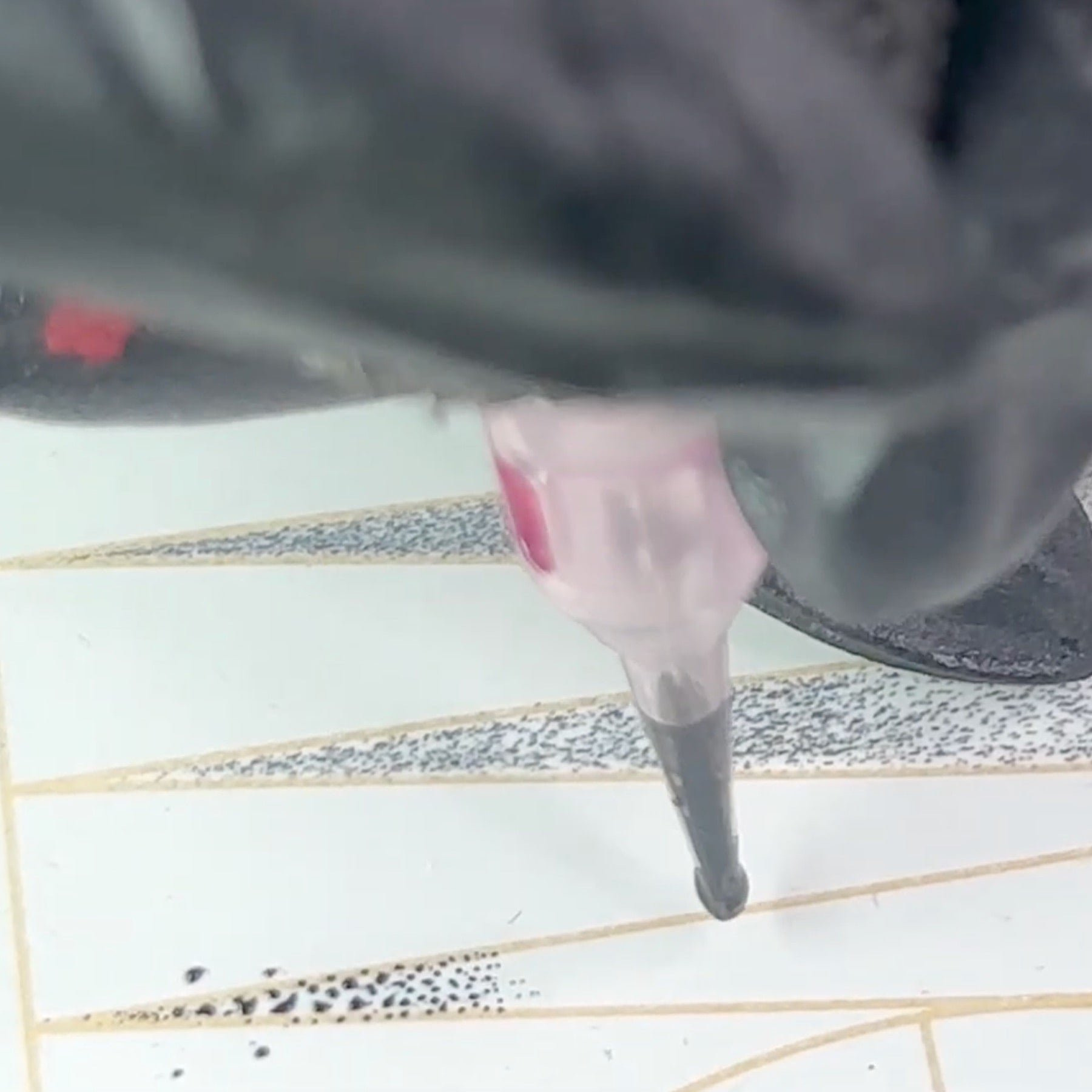 Combo Is Queen: Nano Hybrid Mastery by Maya Moore - Tina Davies Professional