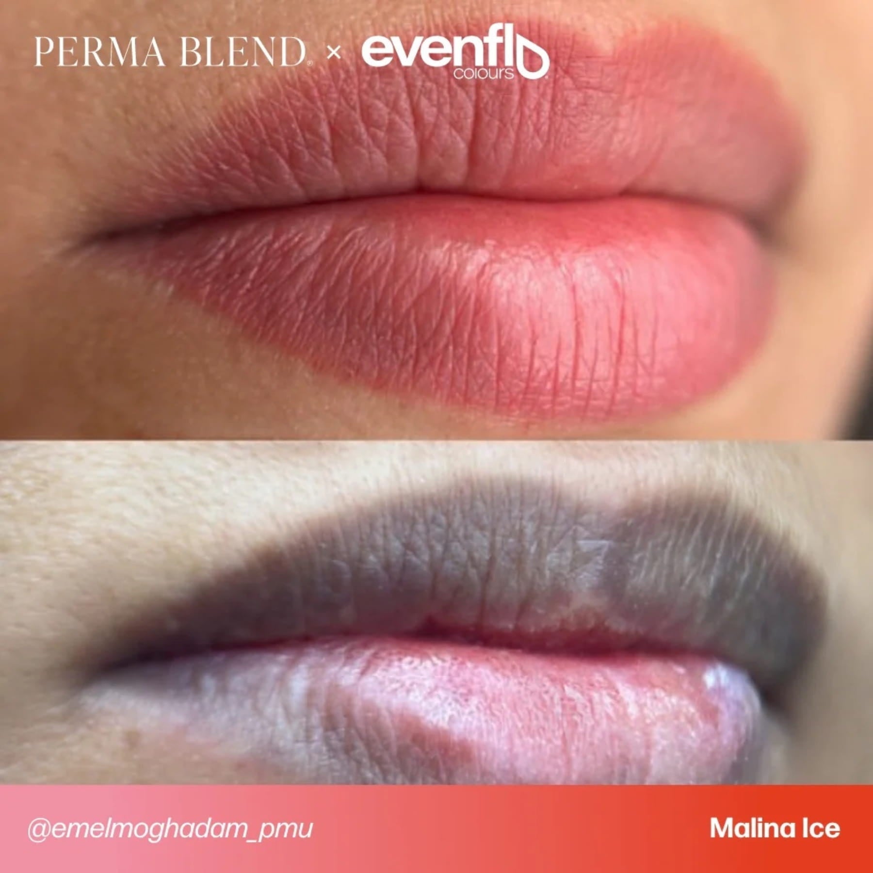 Evenflo Colours | Lip Shades - Tina Davies Professional
