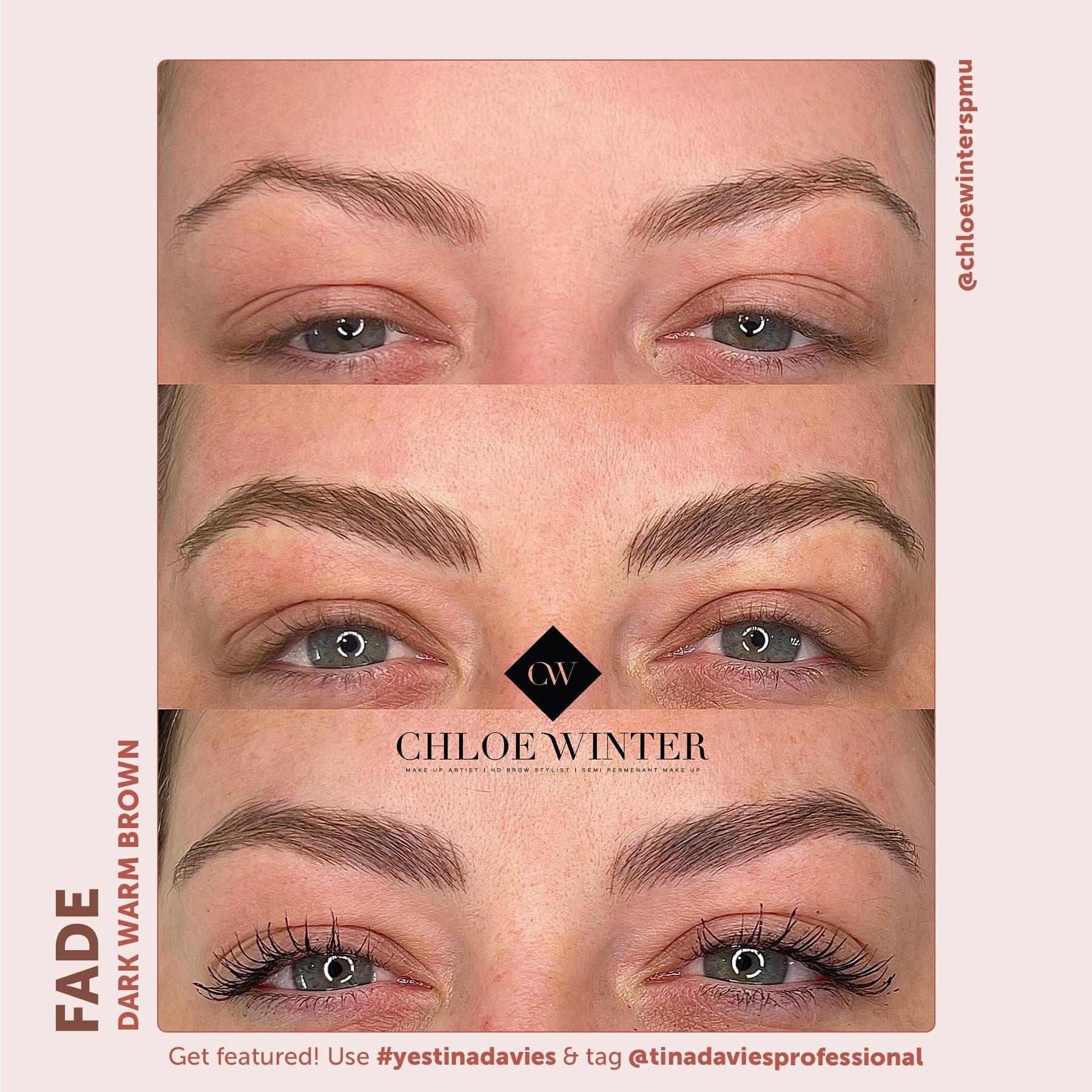 FADE Eyebrow Pigments - Tina Davies Professional