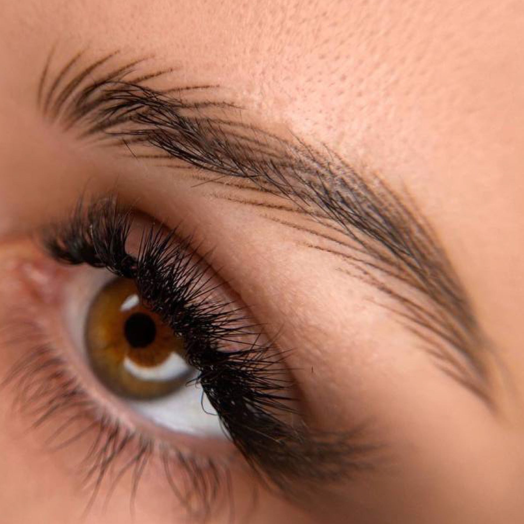 Hanafy Eyebrow Pigments - Tina Davies Professional