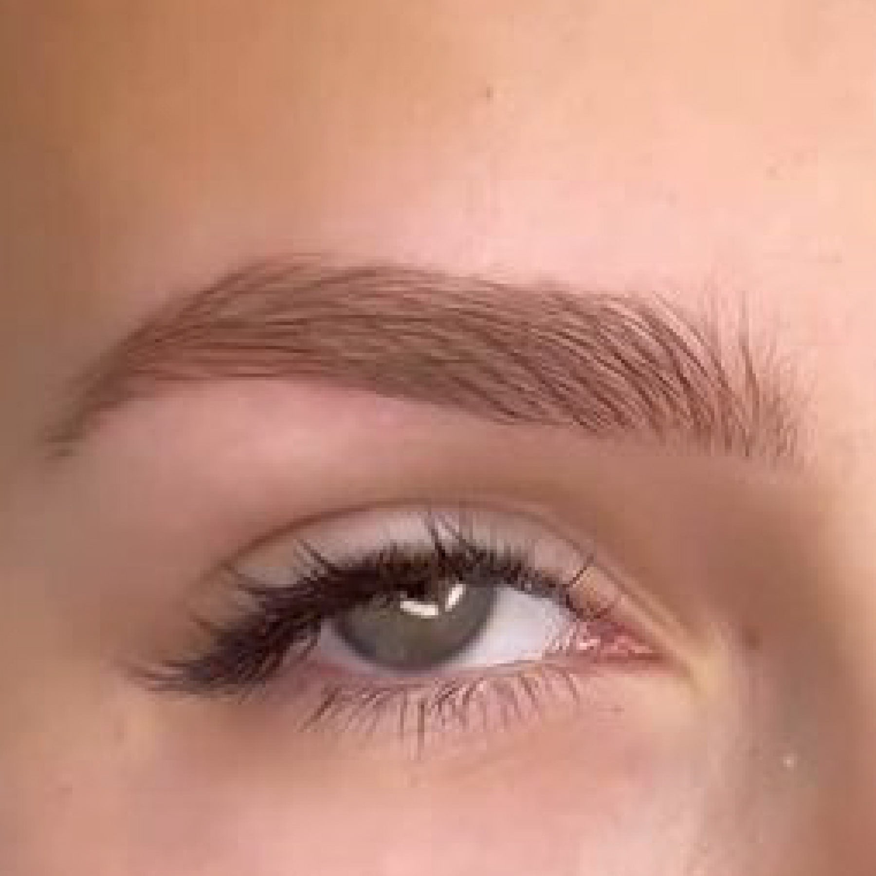 Hanafy Hairstrokes Eyebrow Pigments - Tina Davies Professional