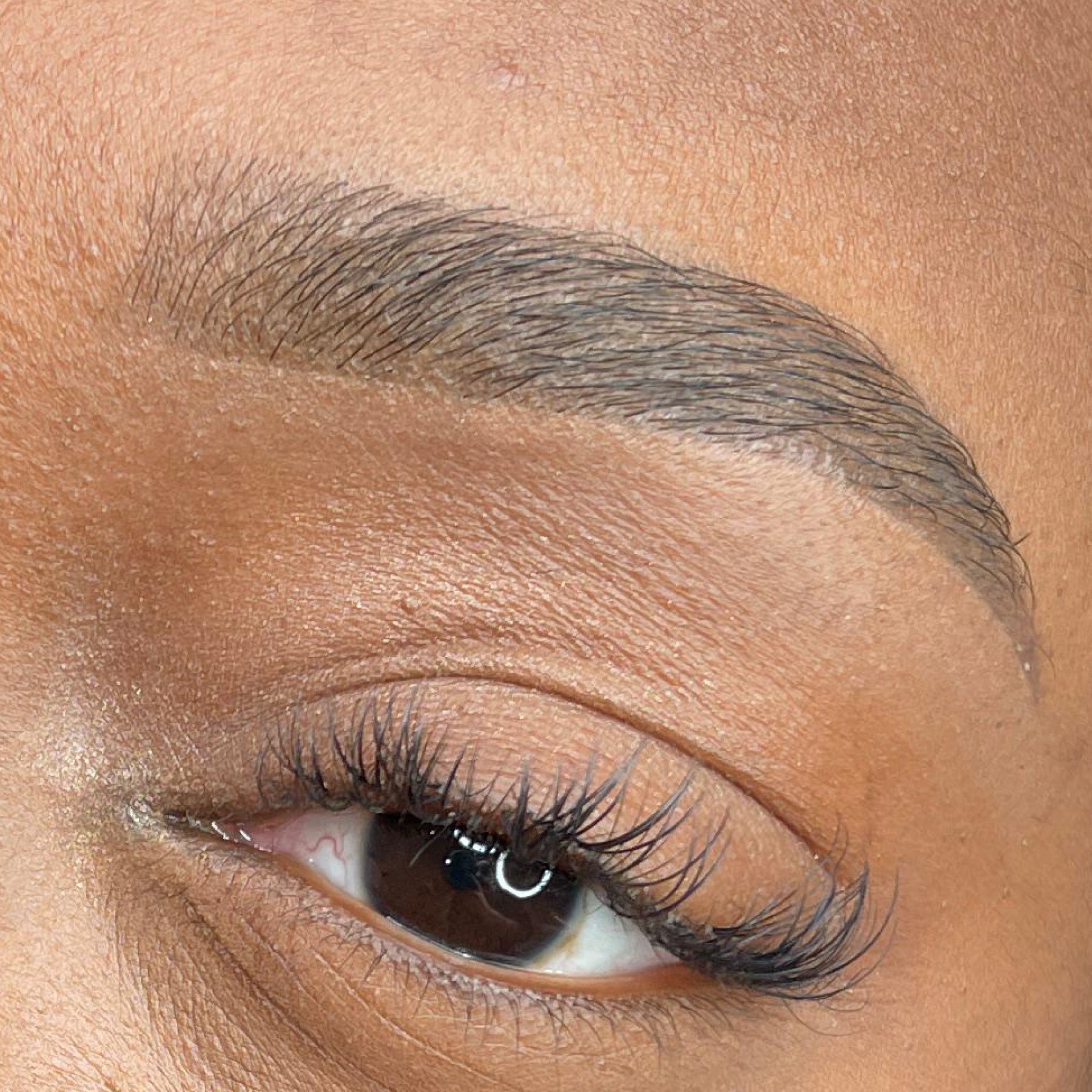 Hanafy Pulse Eyebrow Pigments - Tina Davies Professional