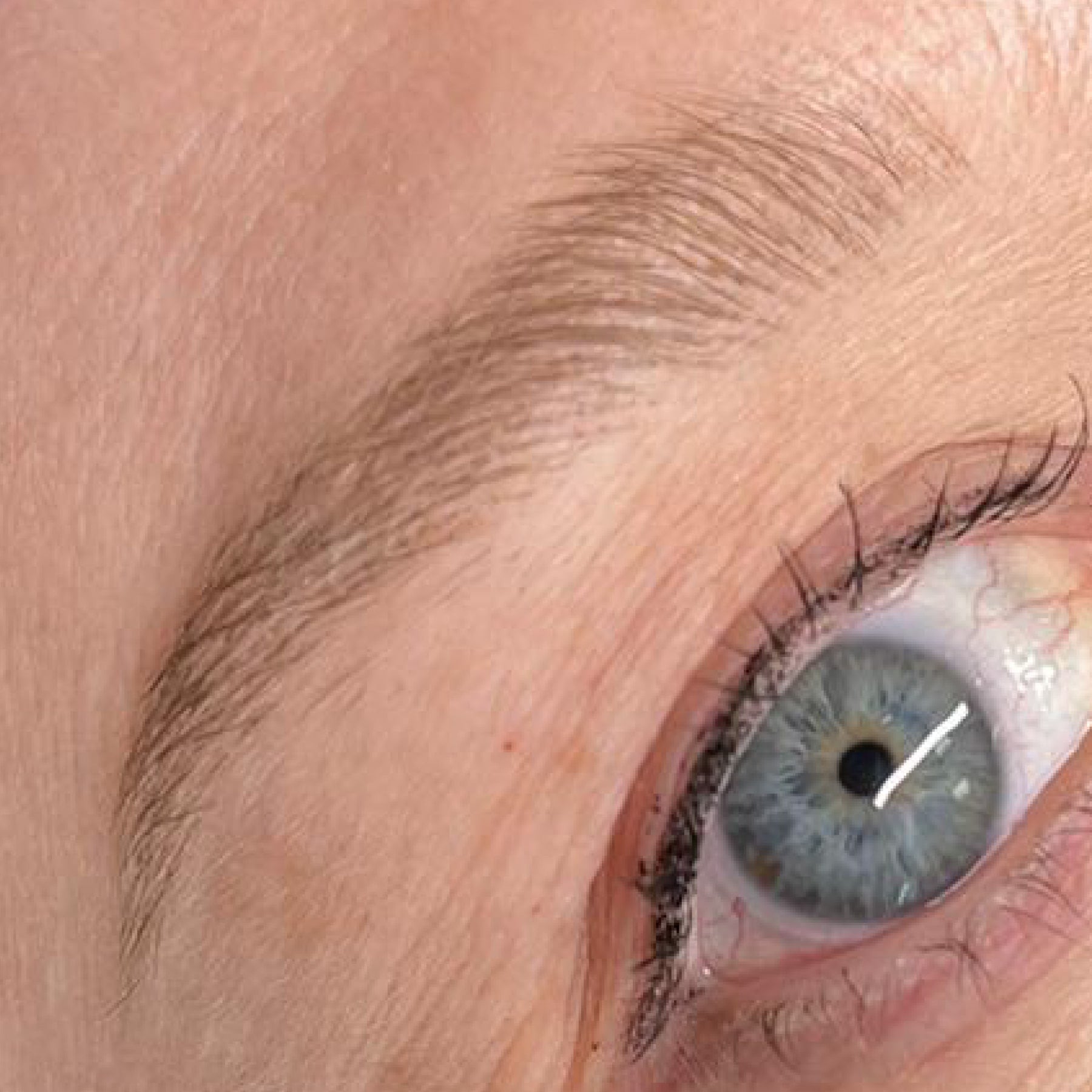 Hanafy Pulse Eyebrow Pigments - Tina Davies Professional