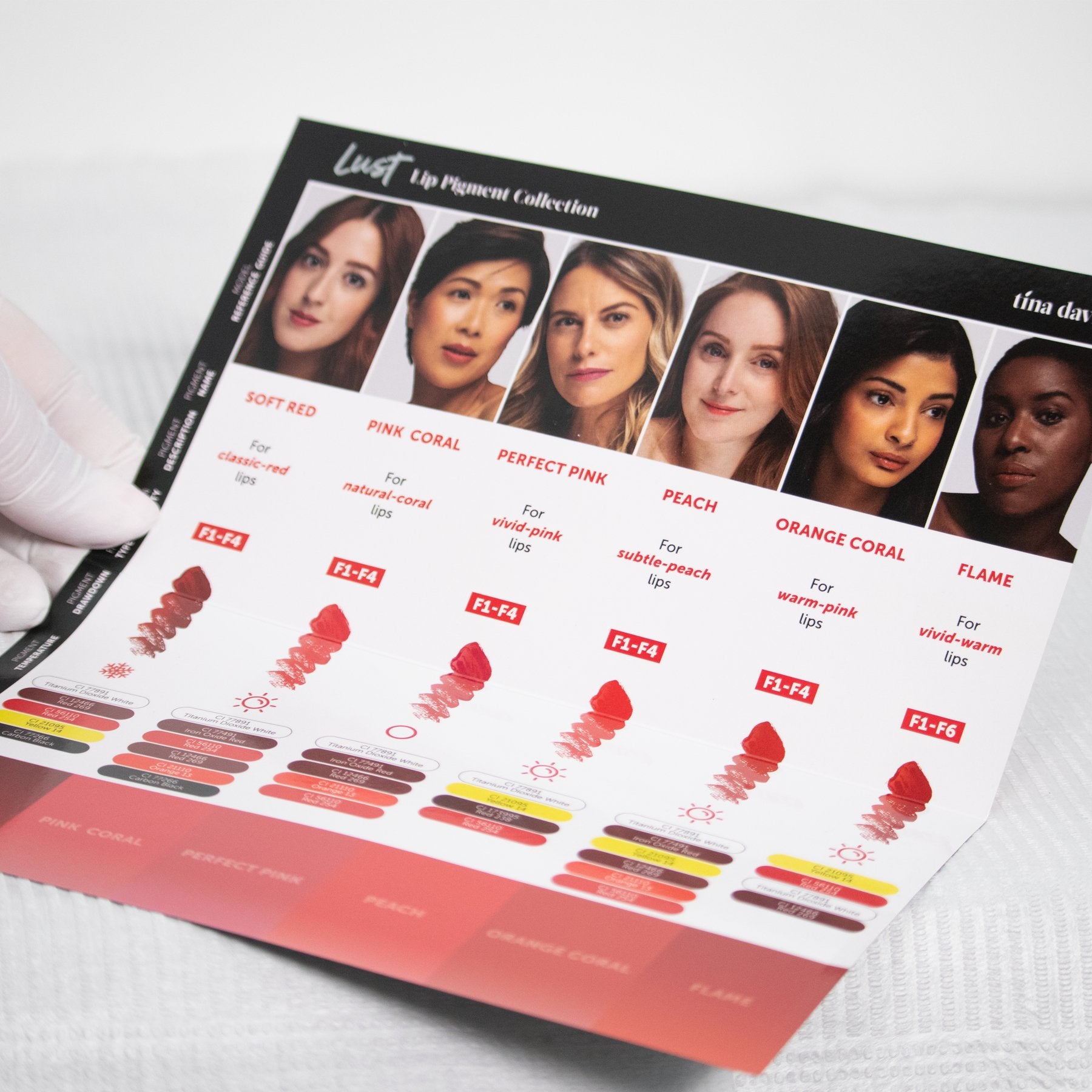 Perma Blend x Tina Davies Lust Lip Pigment Collection Color Chart - Tina Davies Professional