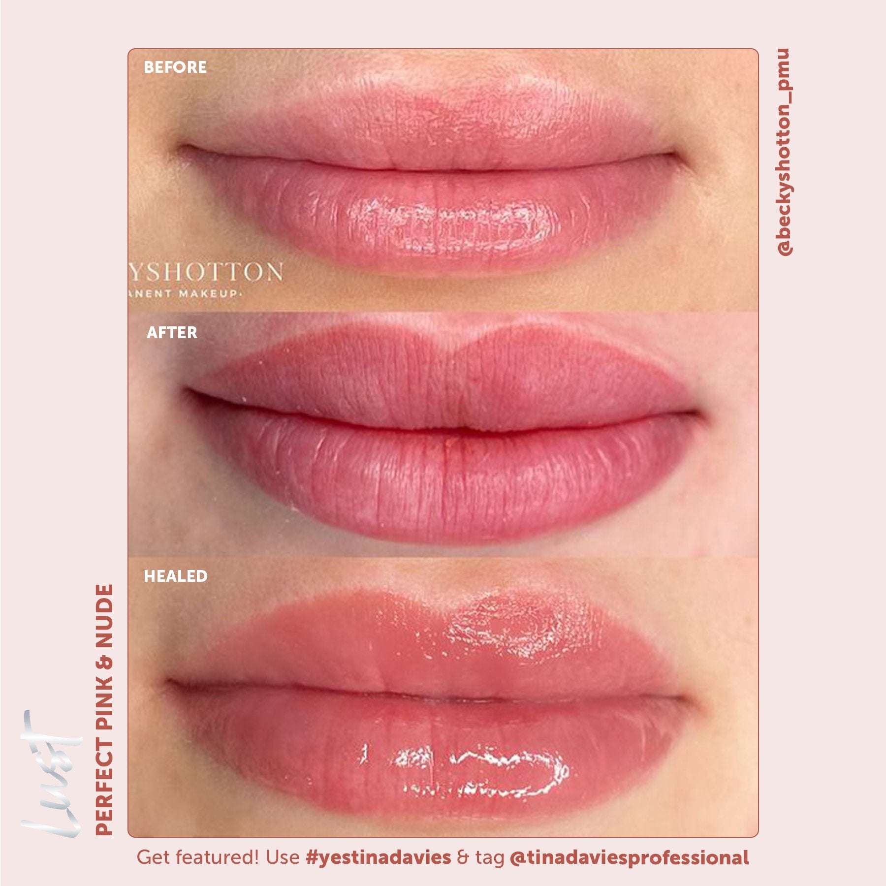 Tina Davies x Perma Blend Lust Lip Pigments - Lust Perfect Pink Healed Result Lip Blushing Permanent Makeup Pigments