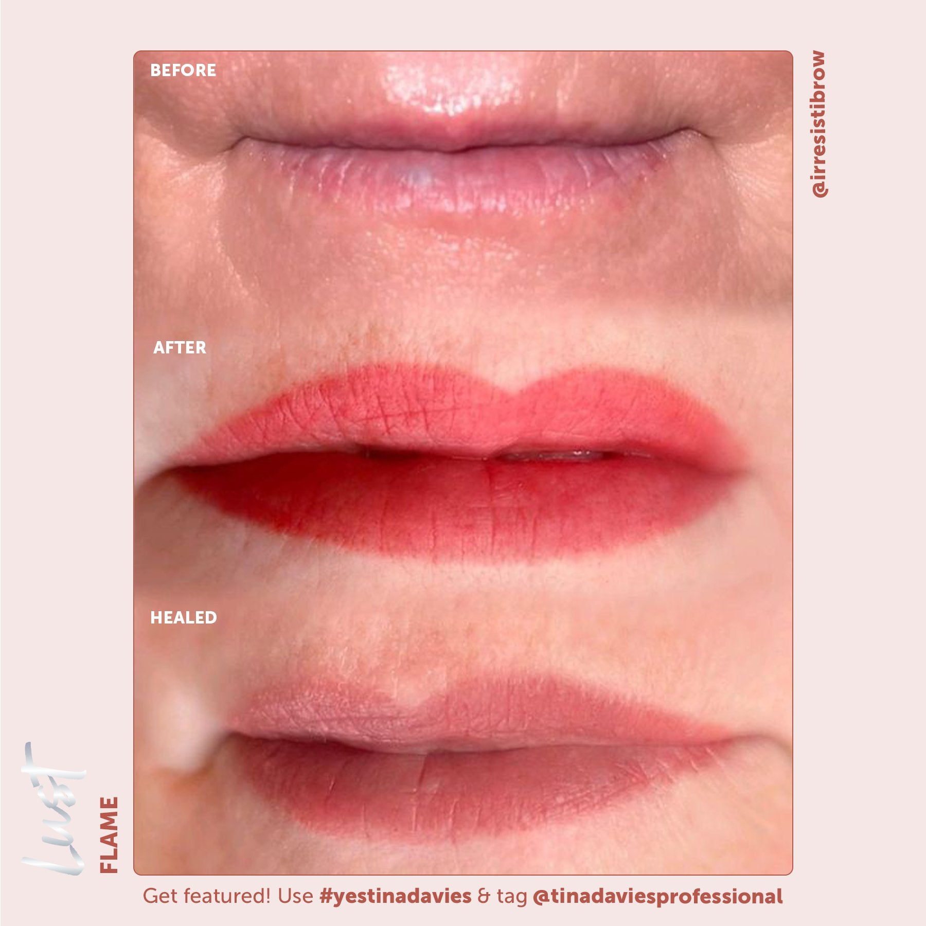 Tina Davies x Perma Blend Lust Lip Pigments - Lust Flame - Lip Blushing Permanent Makeup Pigments Tina Davies Professional