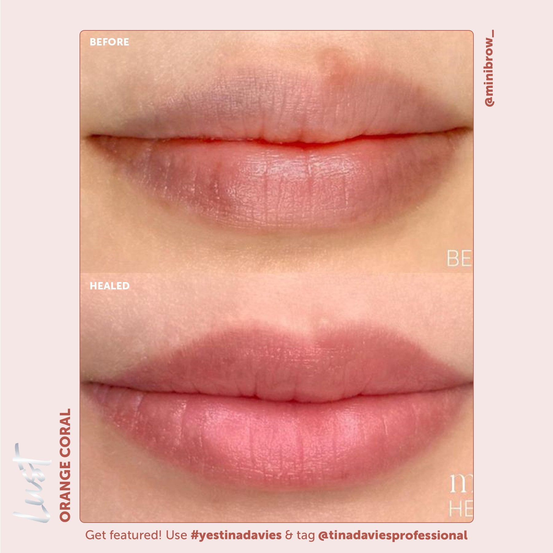 Tina Davies x Perma Blend Lust Lip Pigments - Lust Orange Coral Healed Result Lip Blushing Permanent Makeup Pigments
