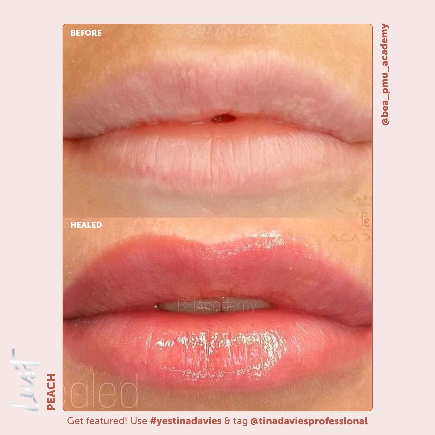 Tina Davies x Perma Blend Lust Lip Pigments - Lust Peach Healed Results Lip Blushing Permanent Makeup Pigments