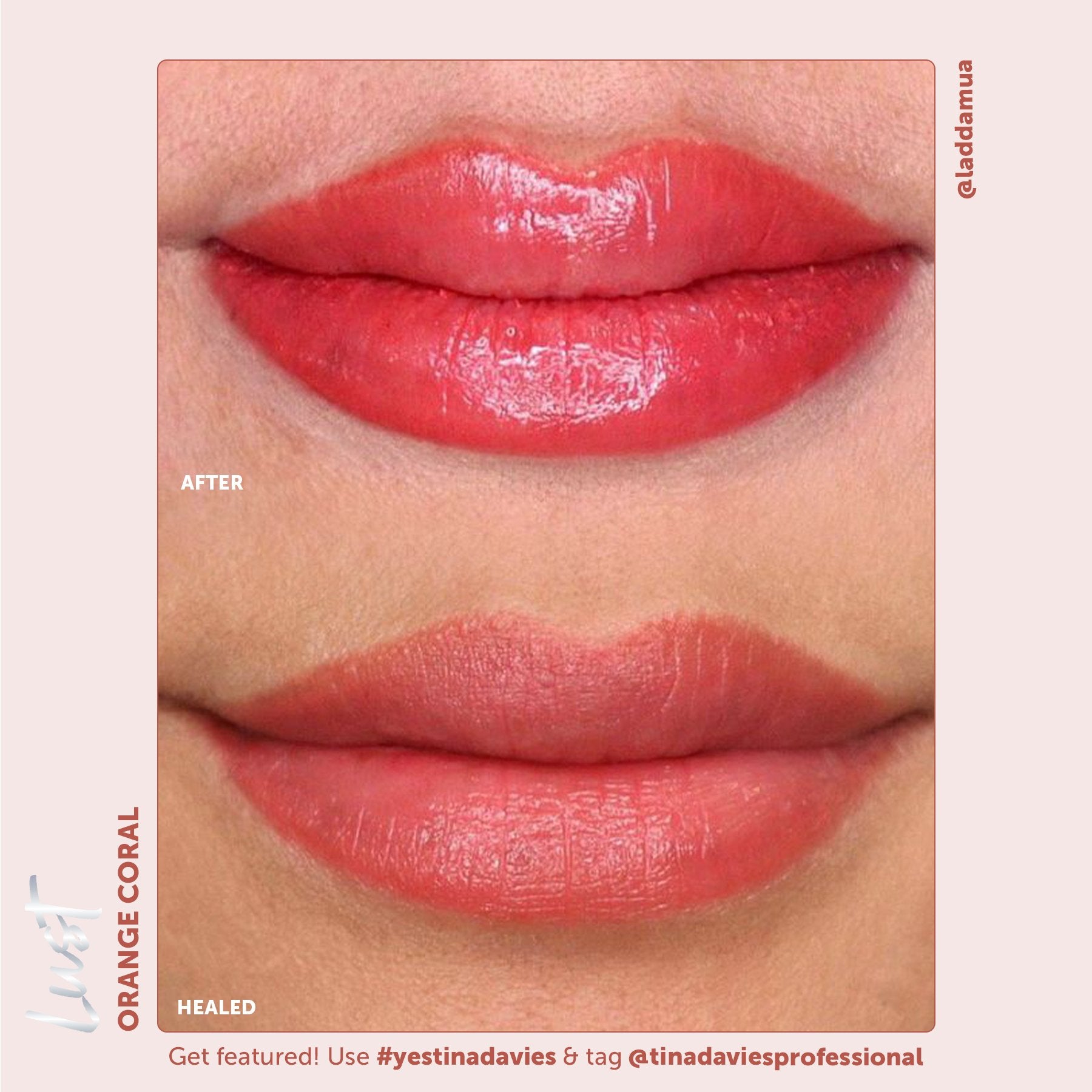Tina Davies x Perma Blend Lust Lip Pigments - Lust Orange Coral Healed Result Lip Blushing Permanent Makeup Pigments