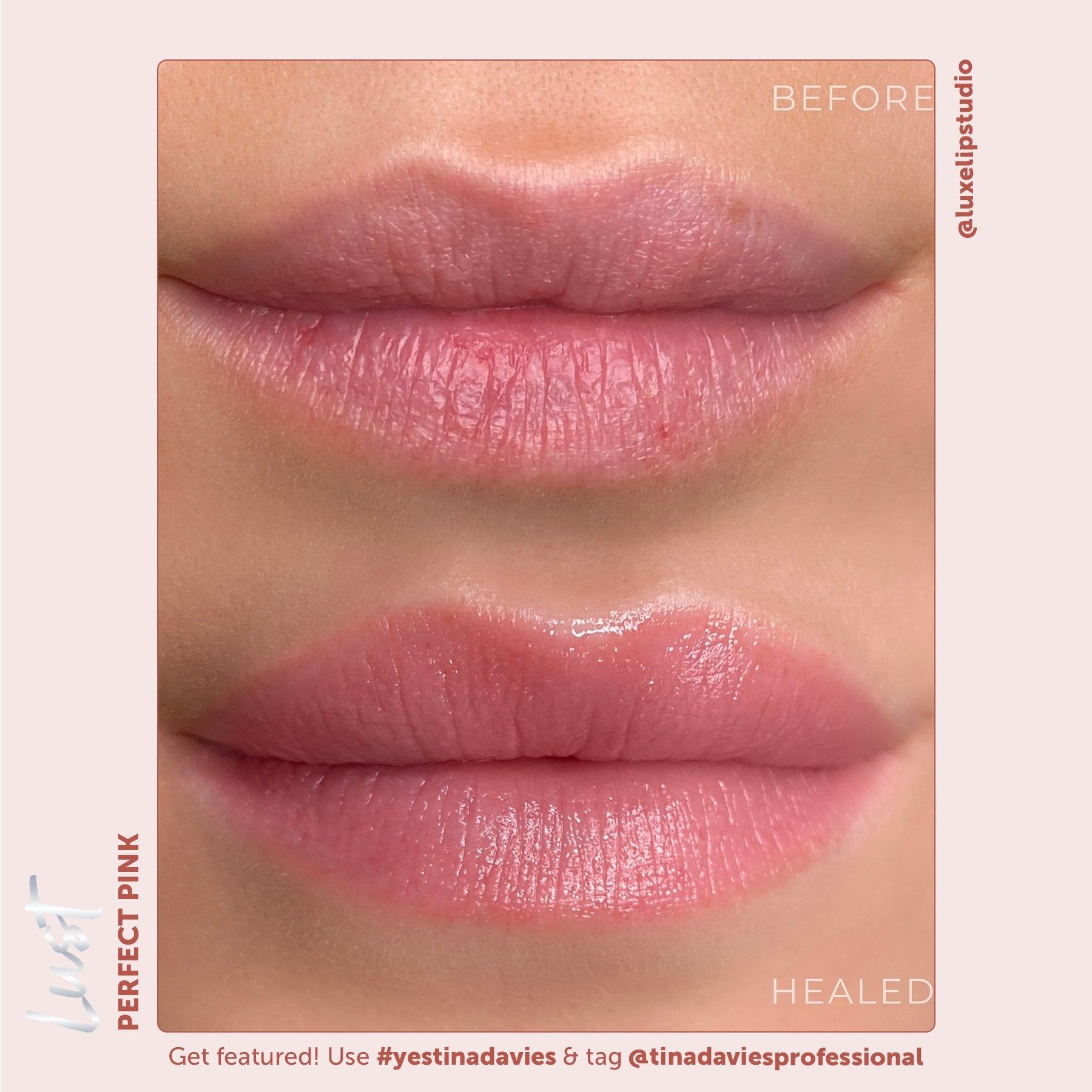 Tina Davies x Perma Blend Lust Lip Pigments - Lust Perfect Pink Healed Result Lip Blushing Permanent Makeup Pigments