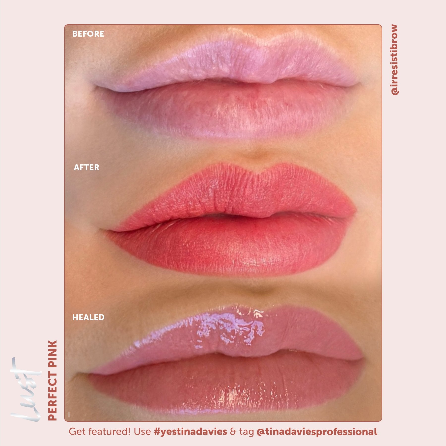 Tina Davies x Perma Blend Lust Lip Pigments - Lust Perfect Pink Healed Result Lip Blushing Permanent Makeup Pigments
