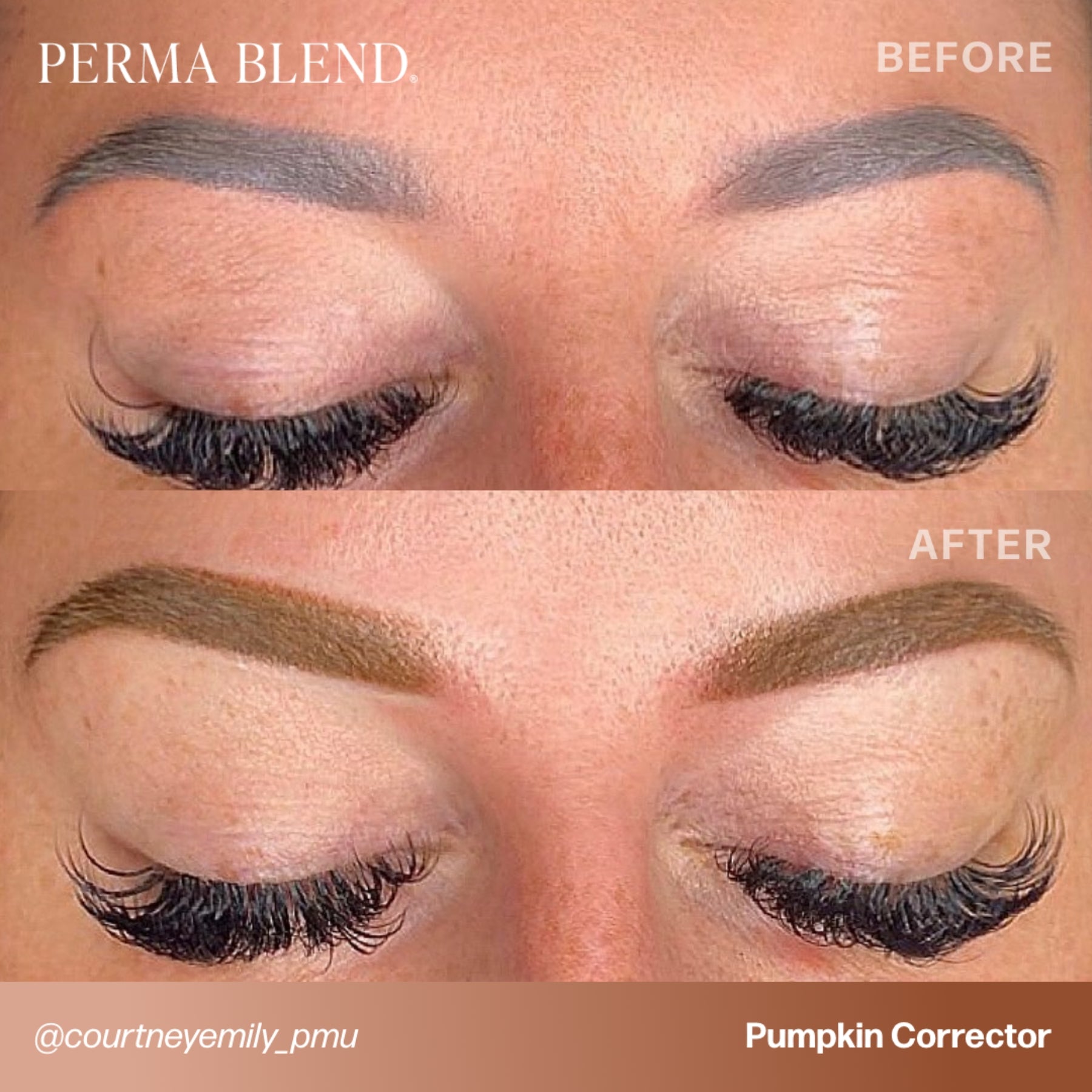 Perma Blend Corrector Pigments - Tina Davies Professional