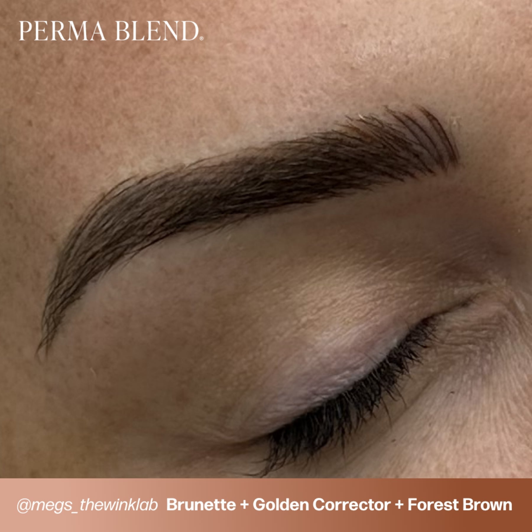 Perma Blend Corrector Pigments - Tina Davies Professional