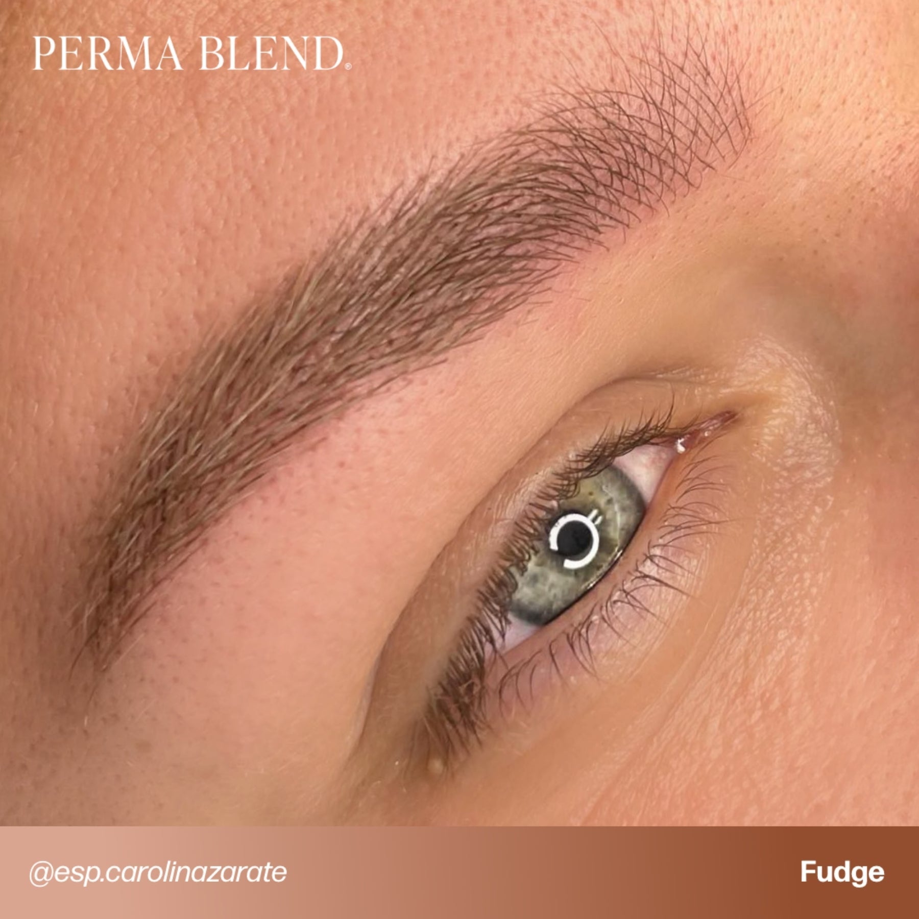 Perma Blend Eyebrow Pigments - Brow Shades - Tina Davies Professional